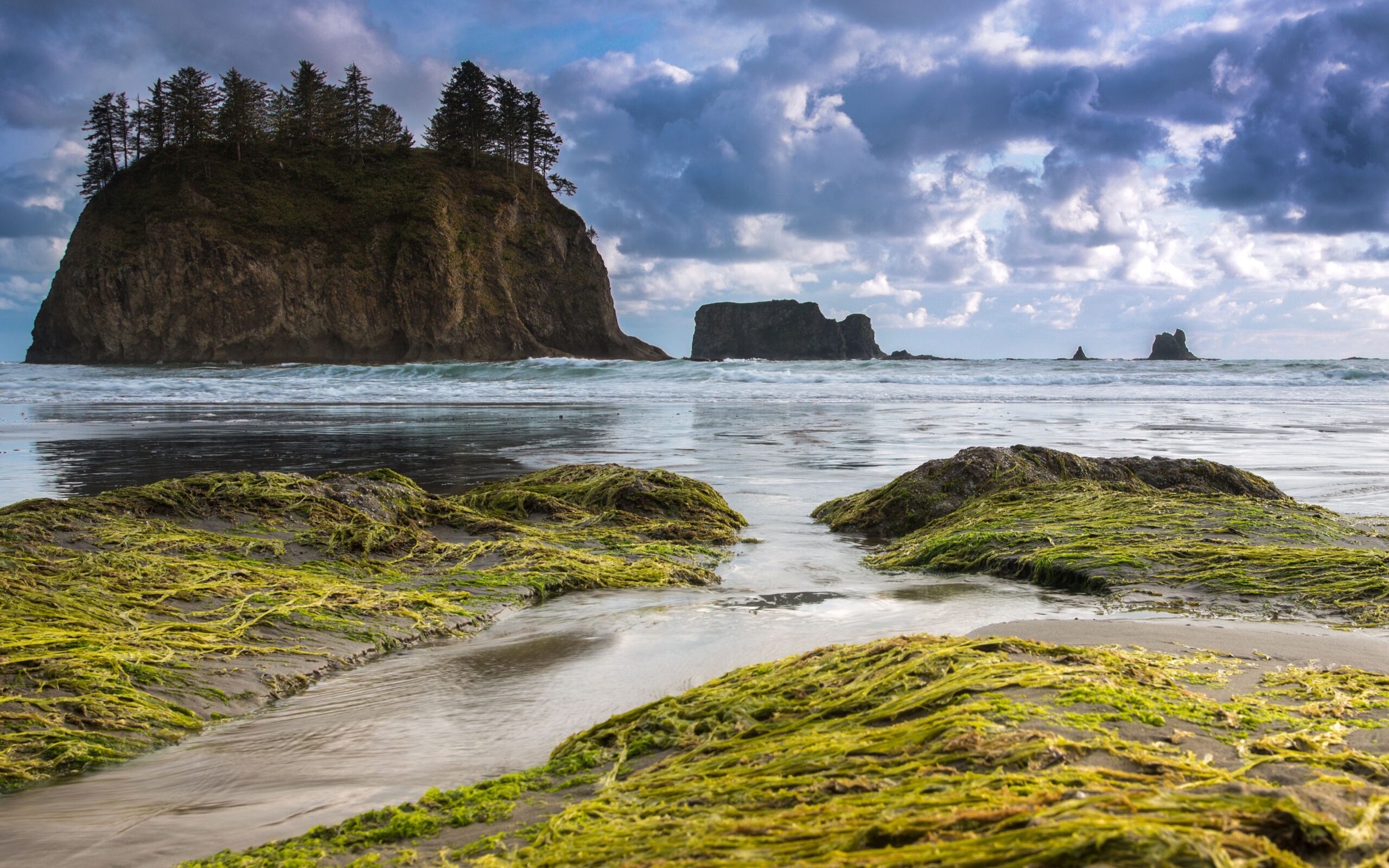 Olympic Peninsula, Olympic National Park, Washington, USA