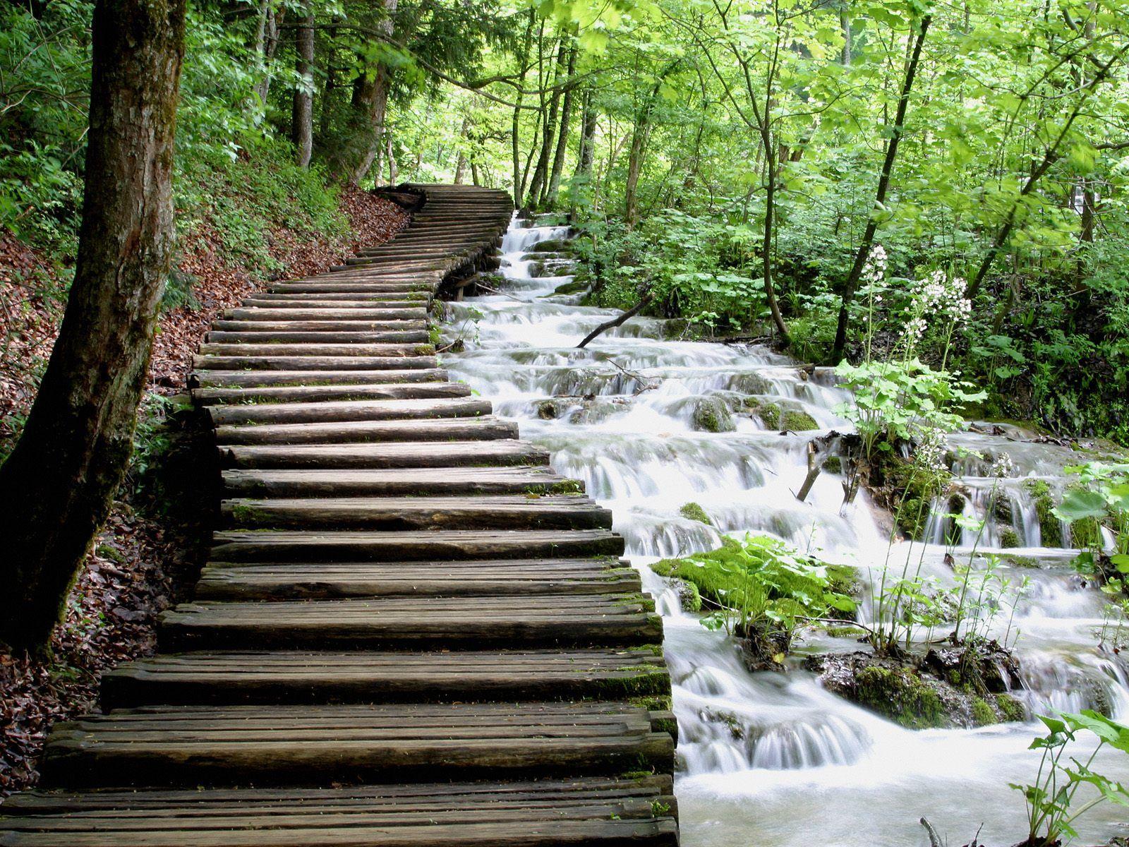 Croatia’s Plitvice Lakes, 16 lakes in the mountains covered with