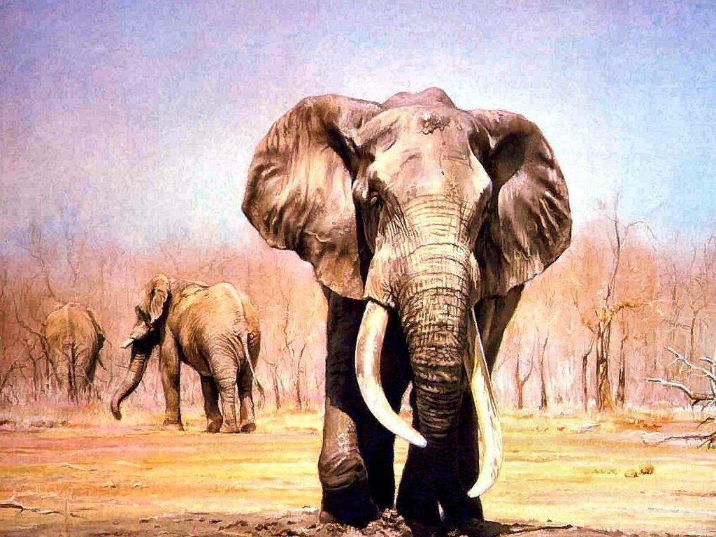 Wallpapers For > Painted Indian Elephant Wallpapers