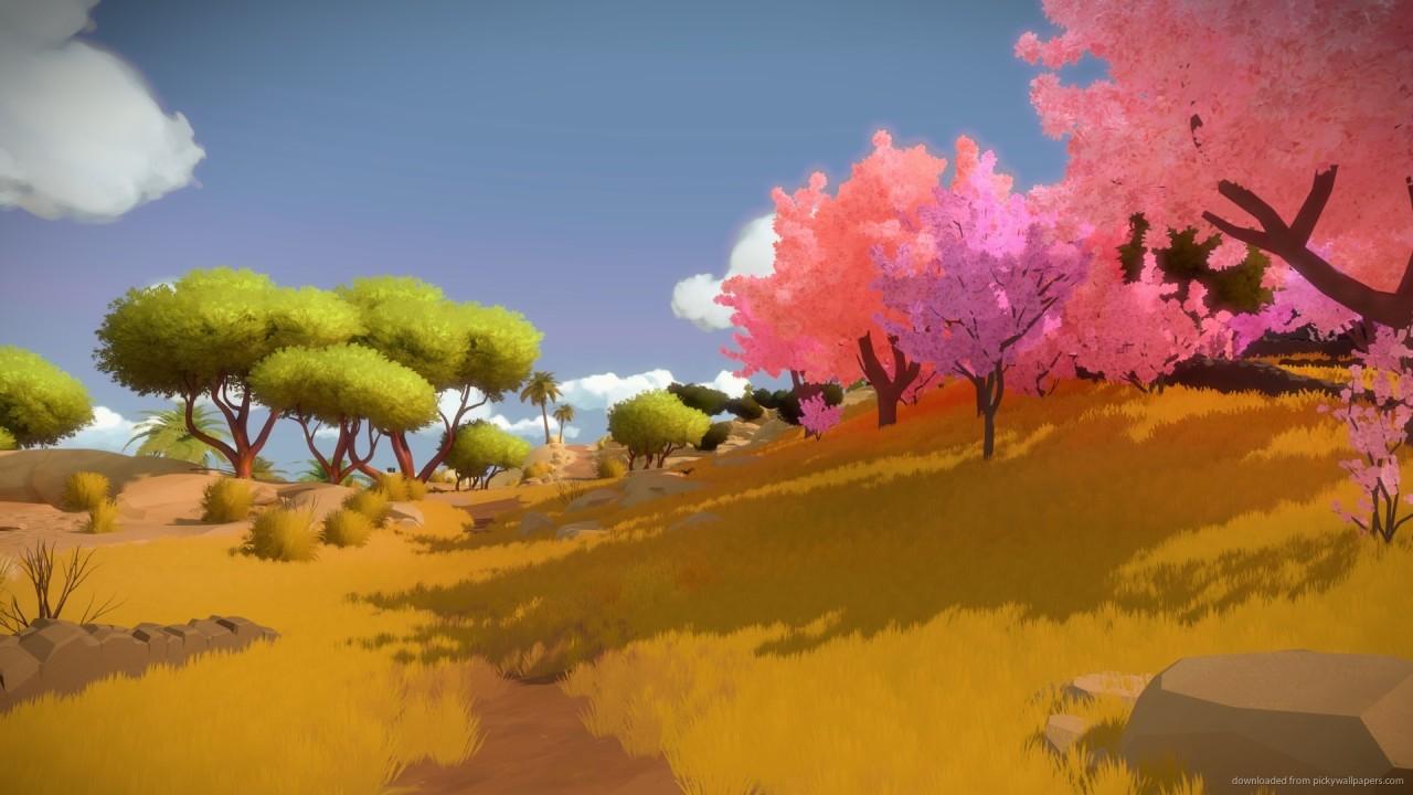 The Witness Review