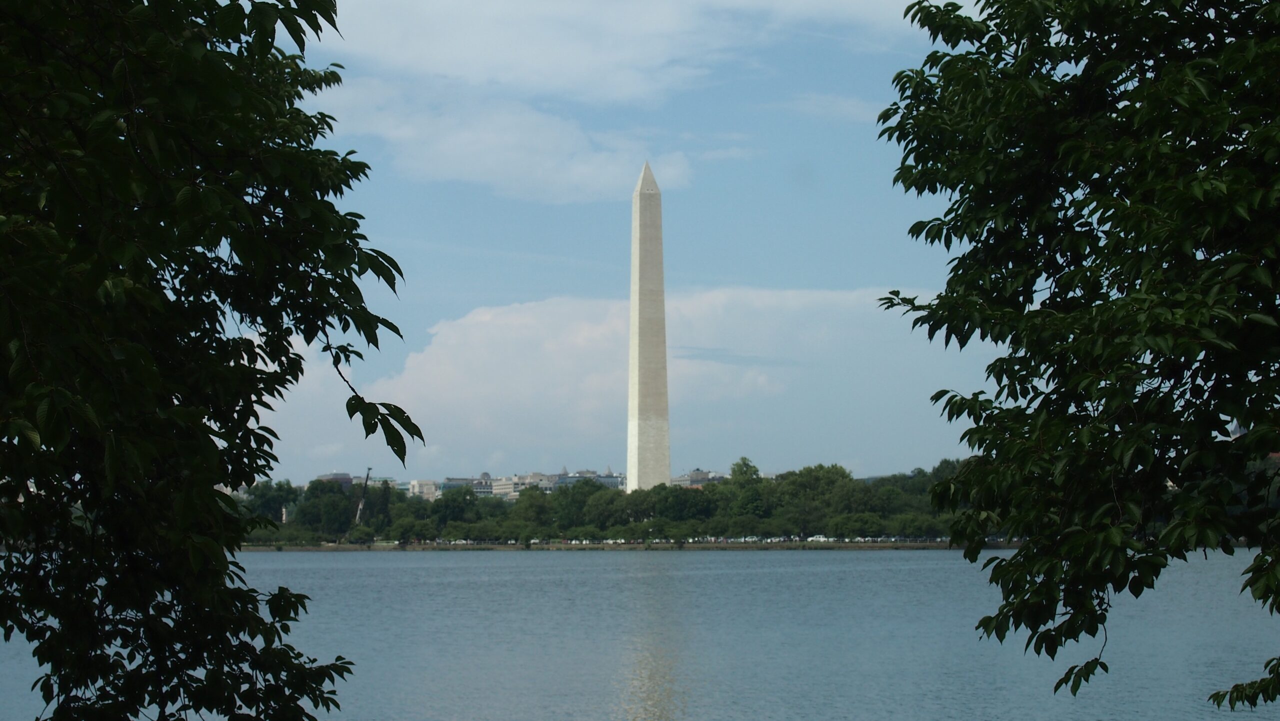 washington monument in washington d.c. free image