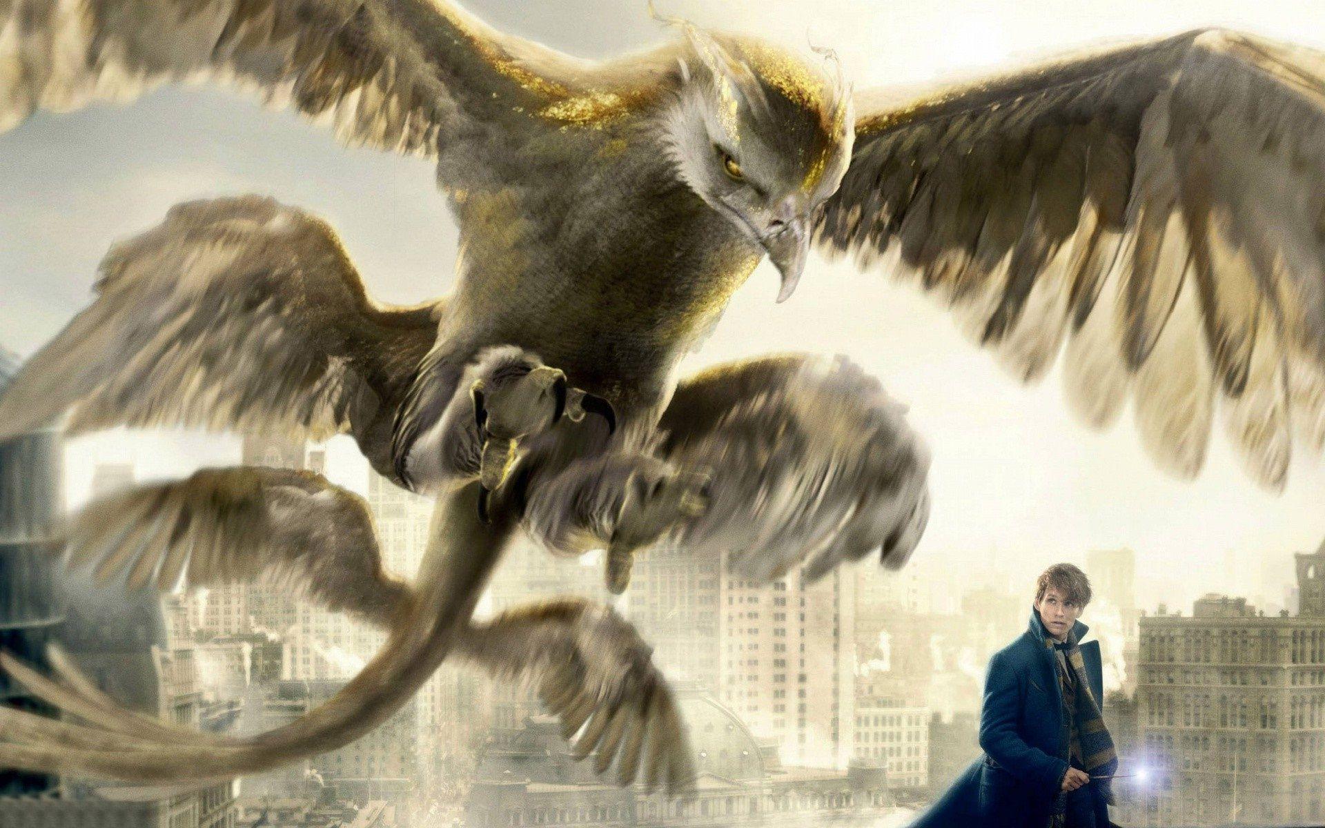 Fantastic Beasts And Where To Find Them Wallpapers HD Backgrounds