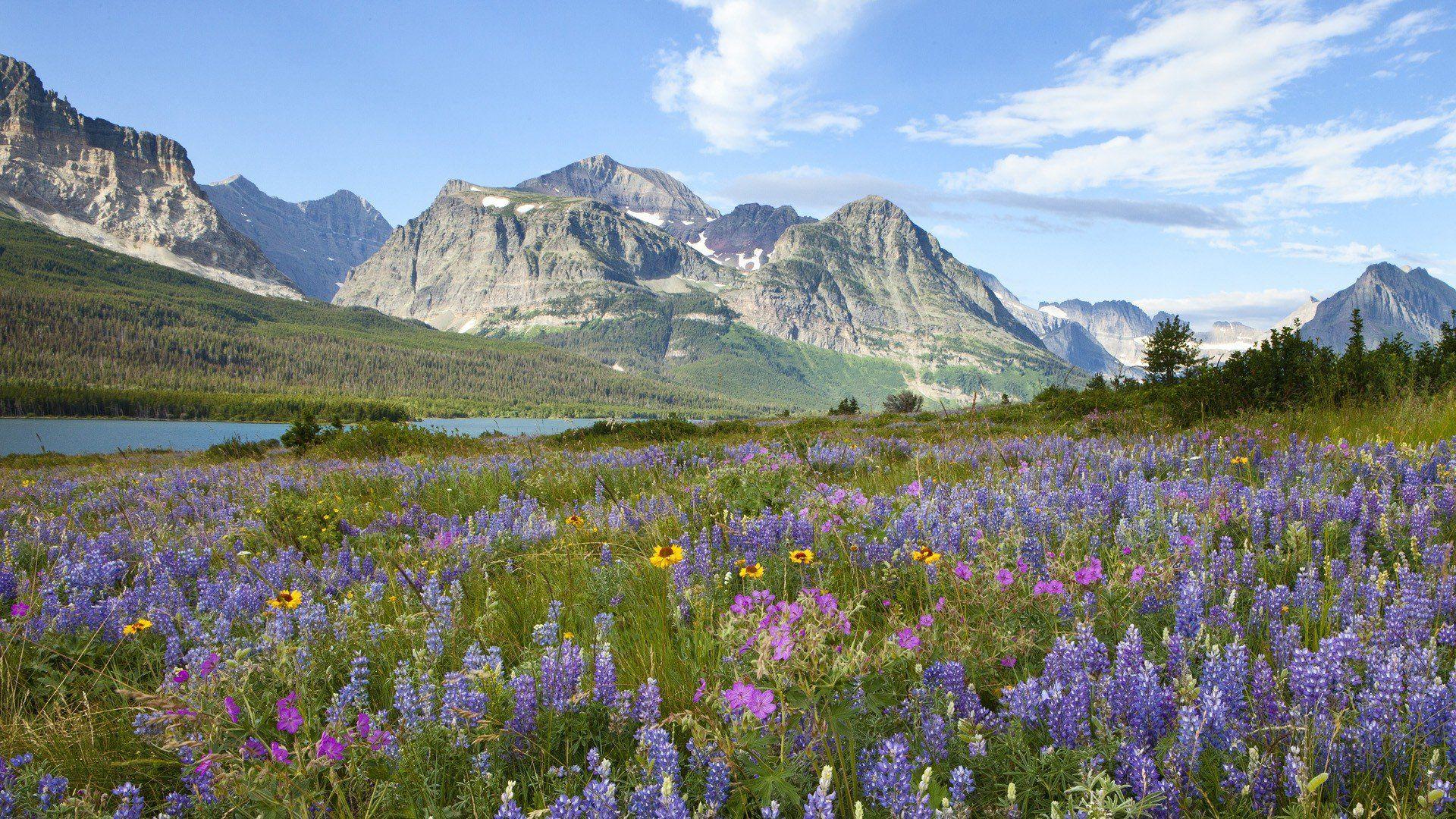 Download Free Glacier National Park Wallpapers