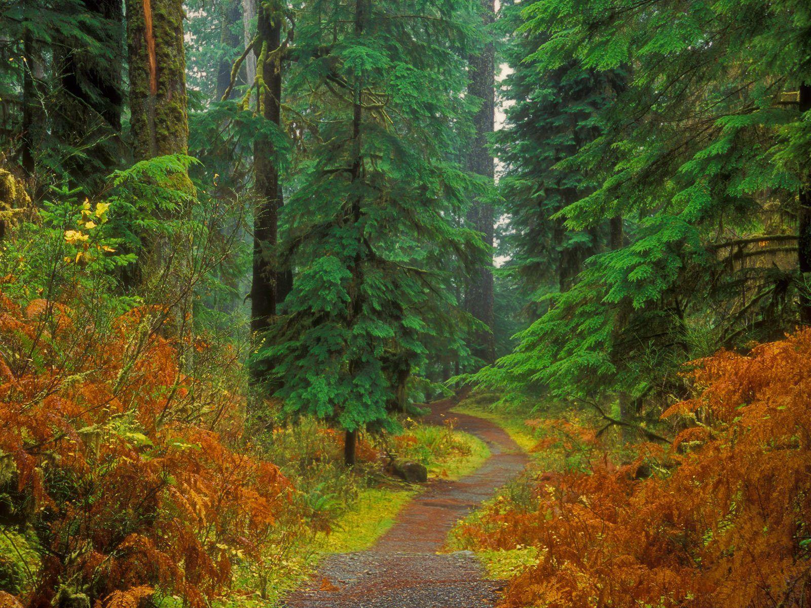 Seriously, the most beautiful park you’ll see all day! Olympic