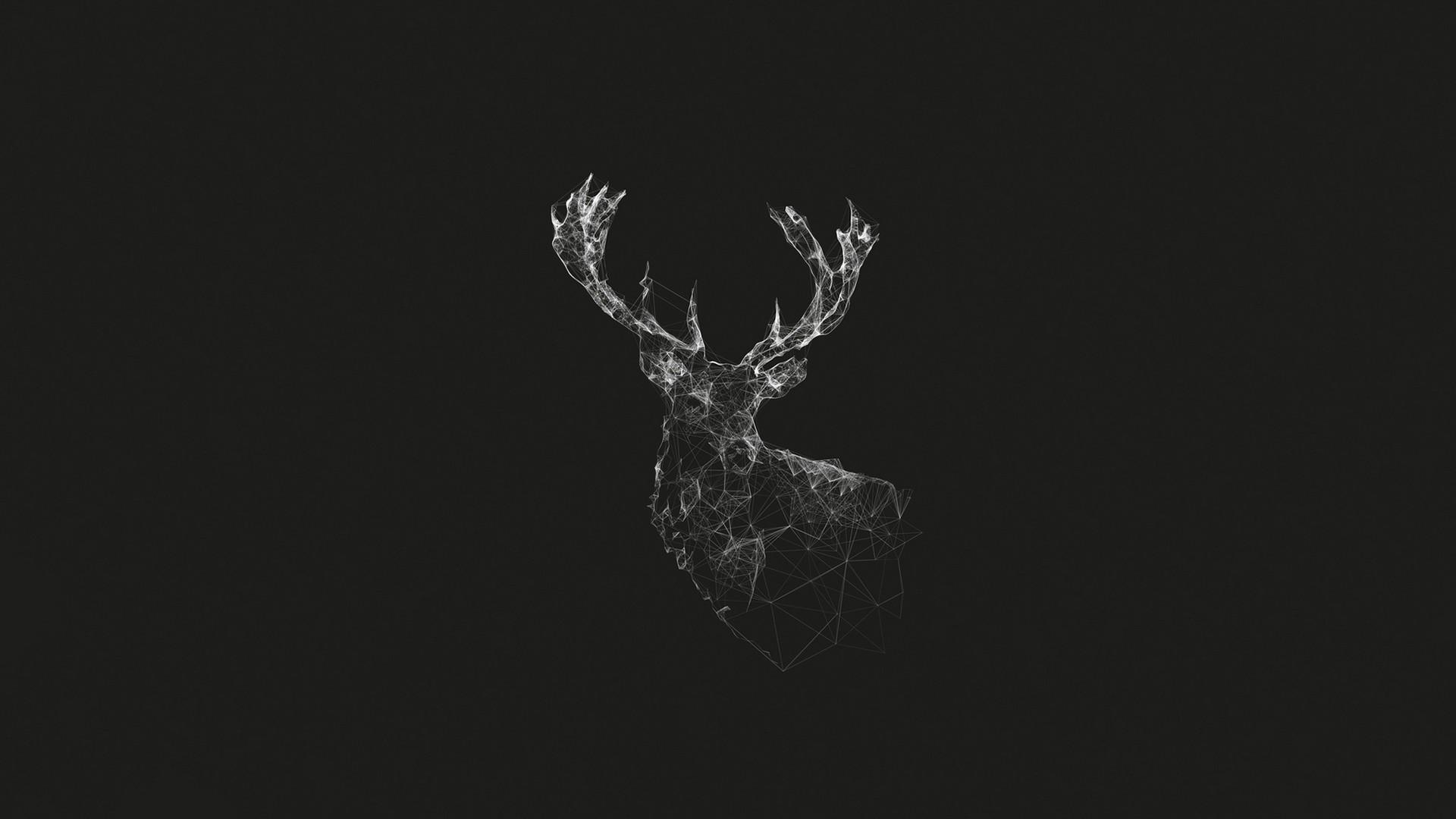 Digital Deer : wallpapers