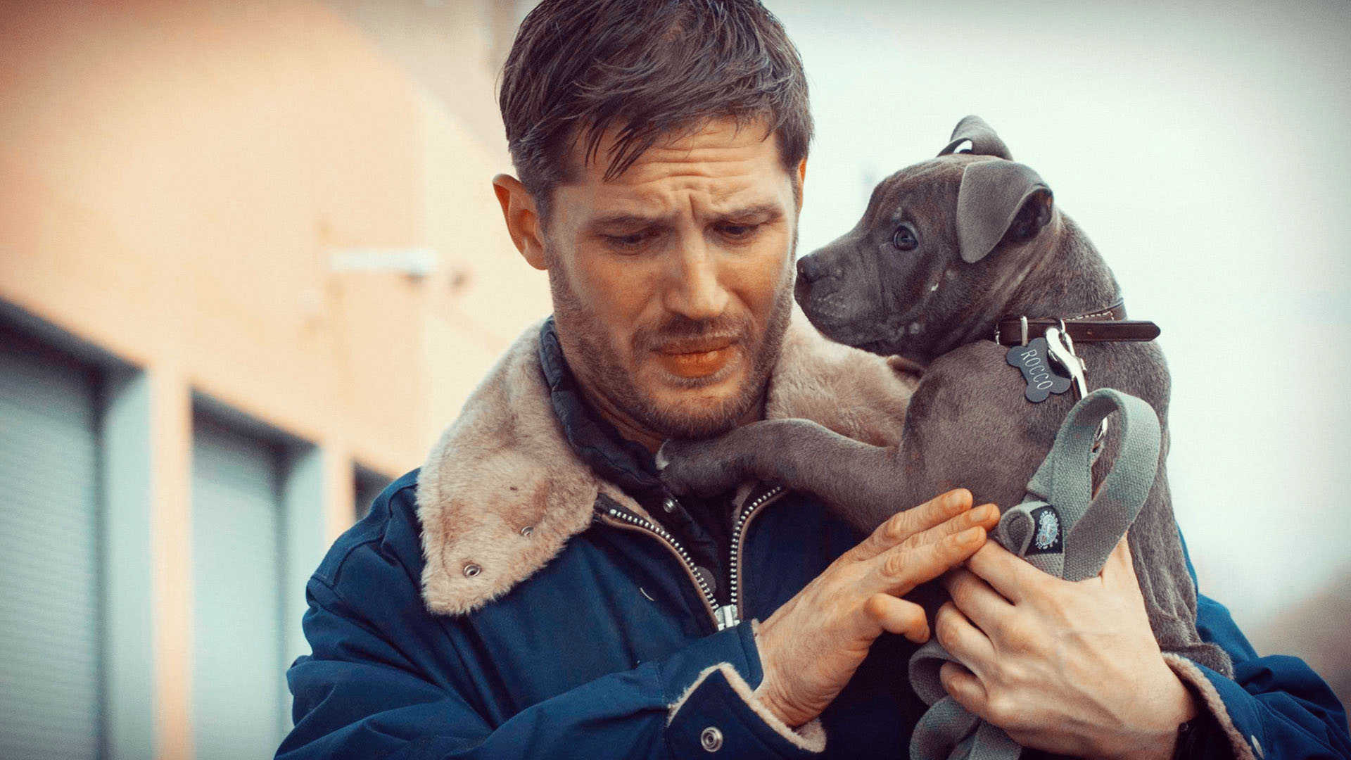 Tom Hardy Wallpapers High Resolution and Quality Download