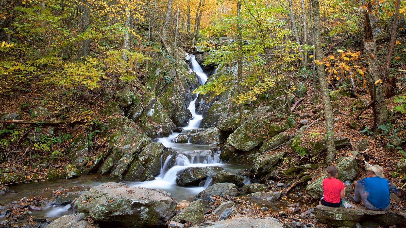 Nature Pictures: View Image of Shenandoah National Park