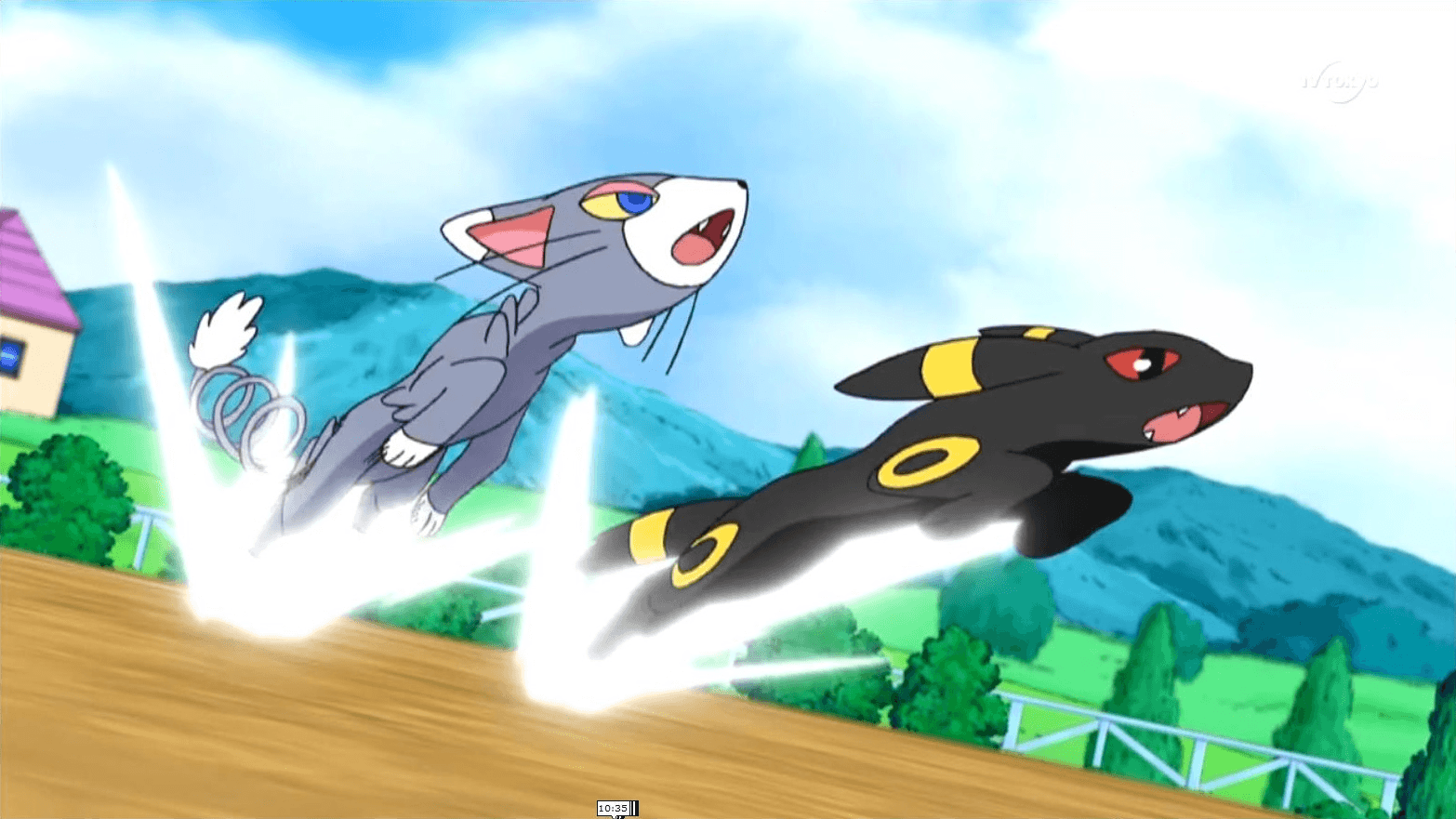 Glameow and Umbreon fight together.