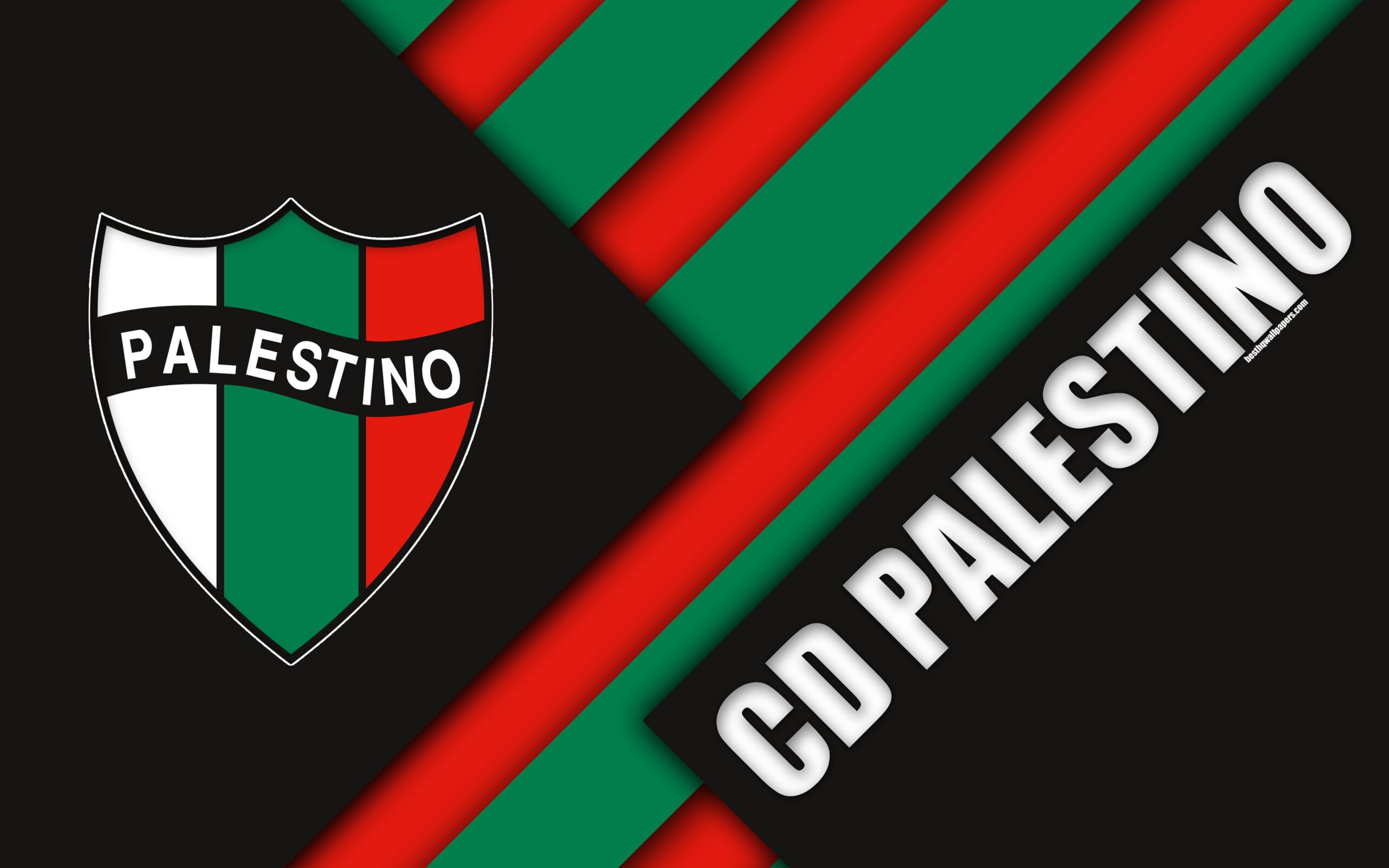 Download wallpapers Club Deportivo Palestino, 4k, Chilean football