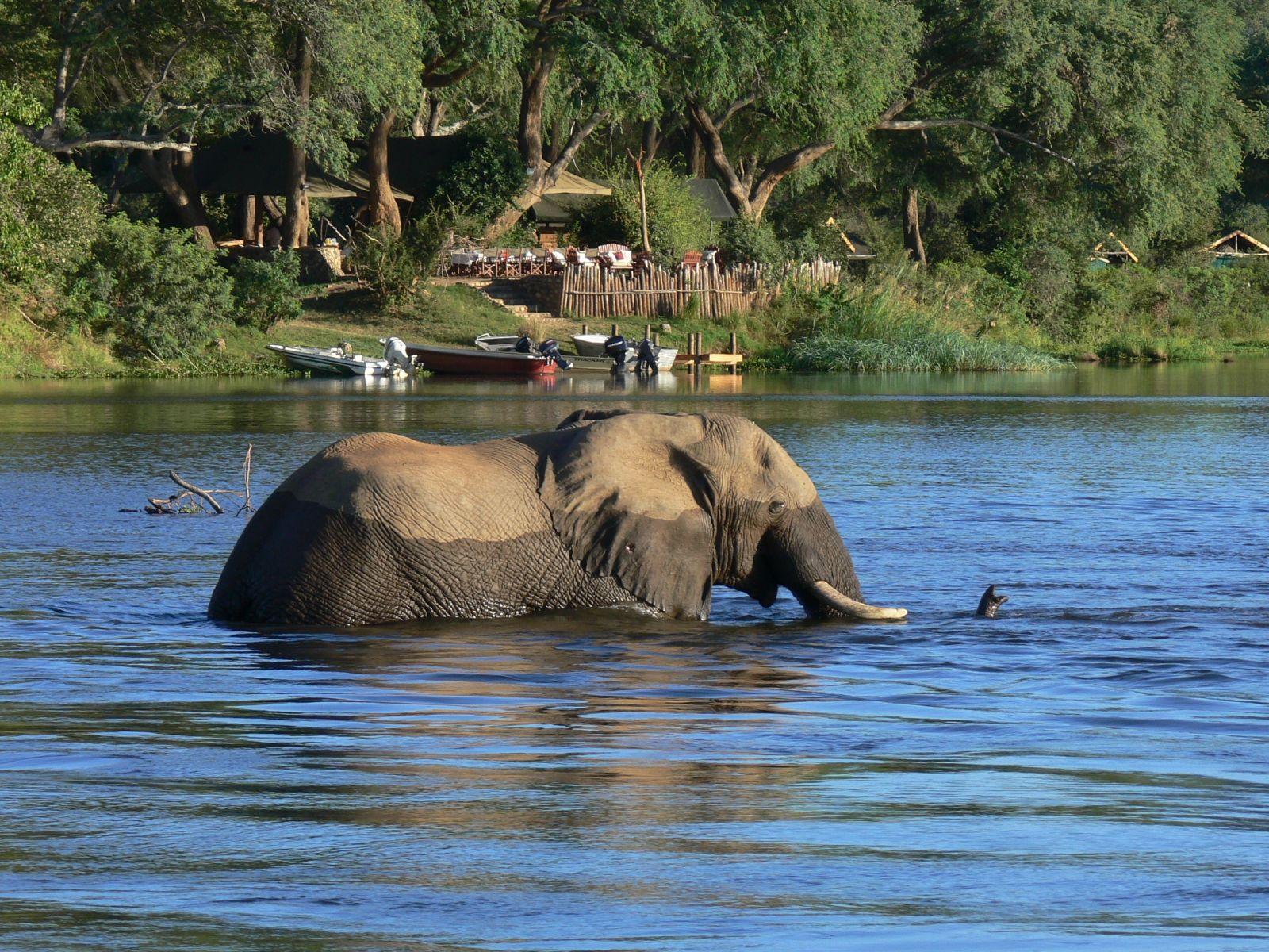 The Lower Zambezi National Park • Hansel Travel