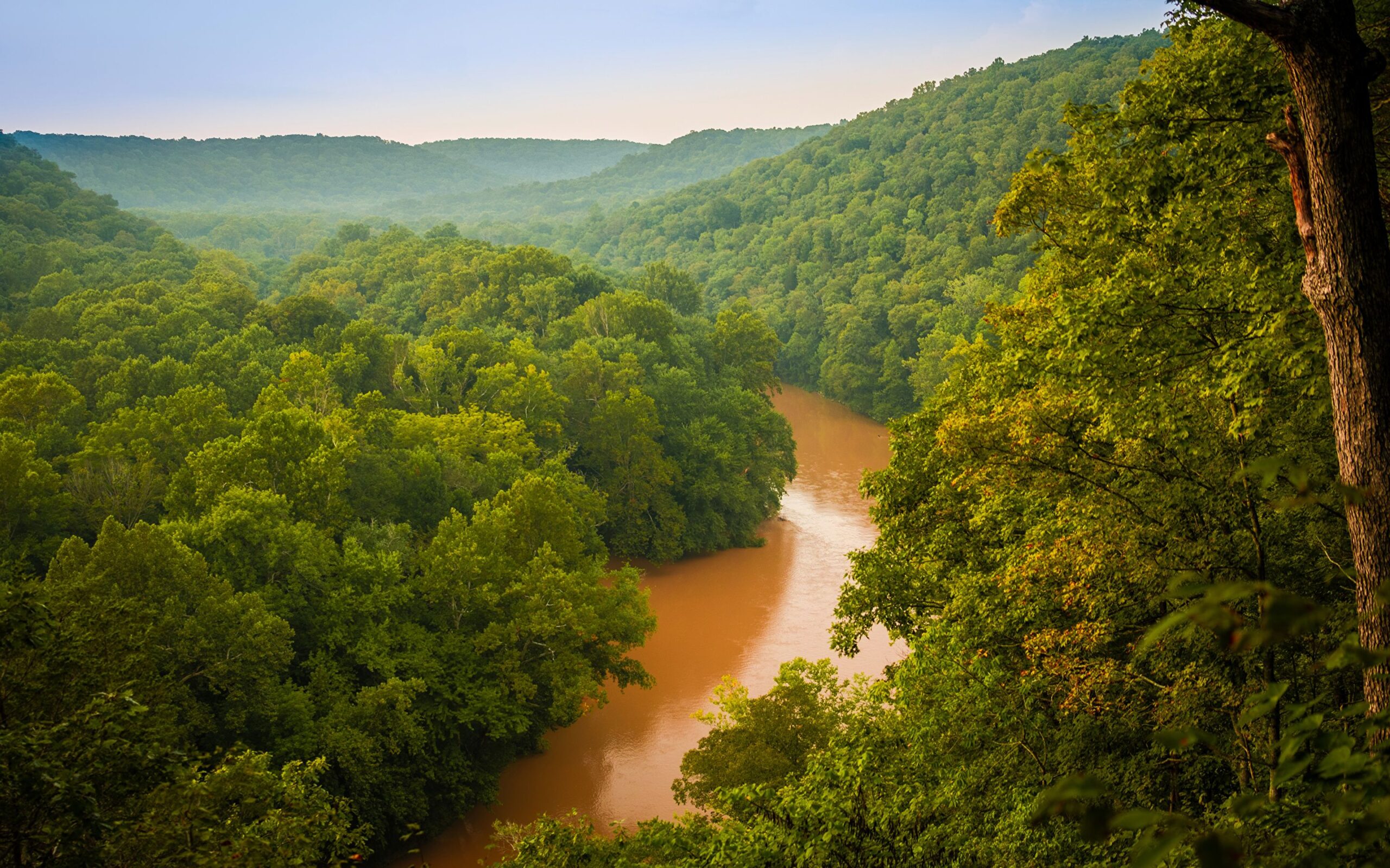 Image USA Mammoth Cave National Park Nature Parks Forests