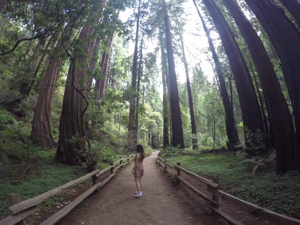 EXPLORING MUIR WOODS