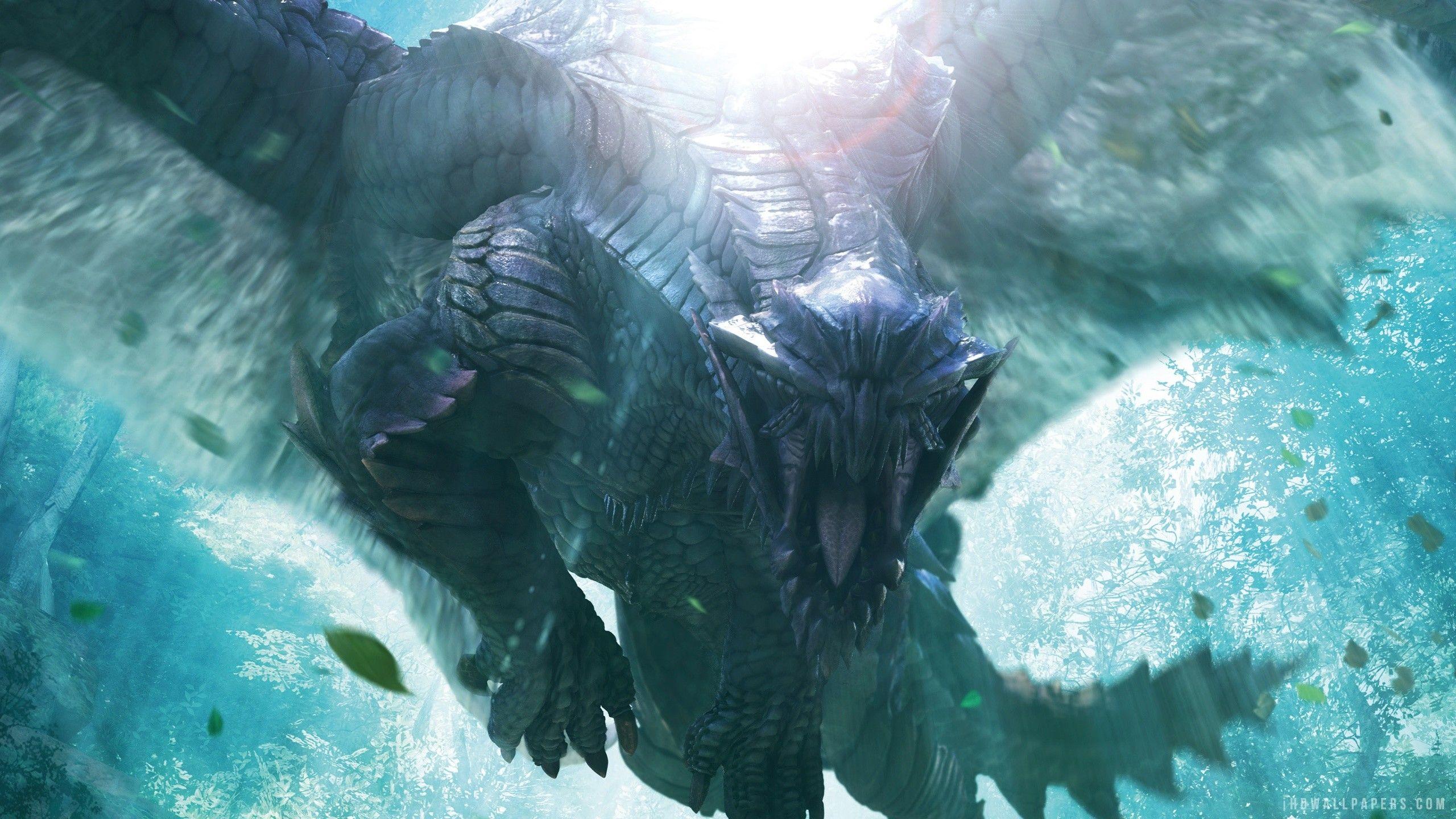 Monster Hunter X Wallpapers