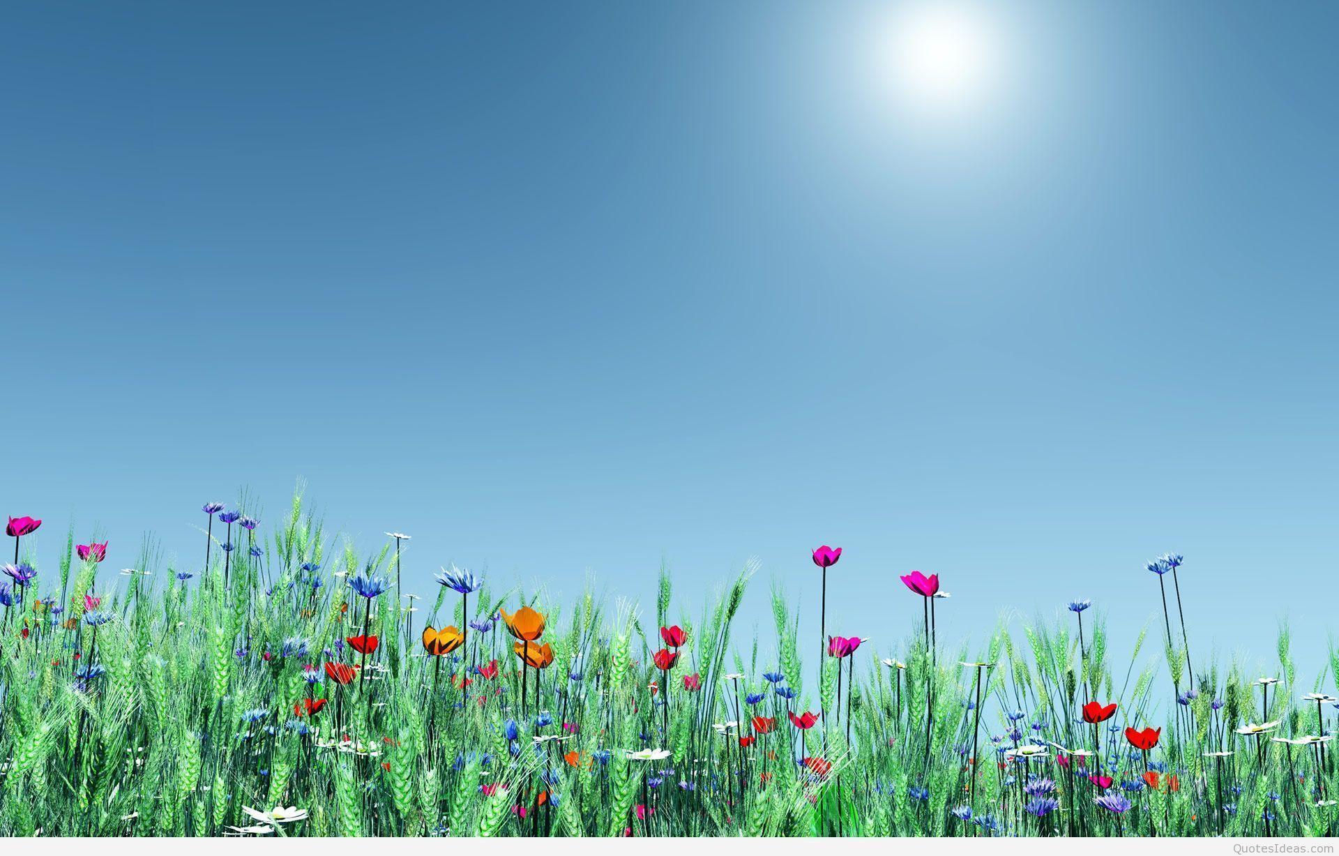 Free Spring Wallpapers 7B5