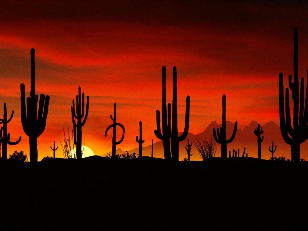 Arizona Wallpapers Widescreen