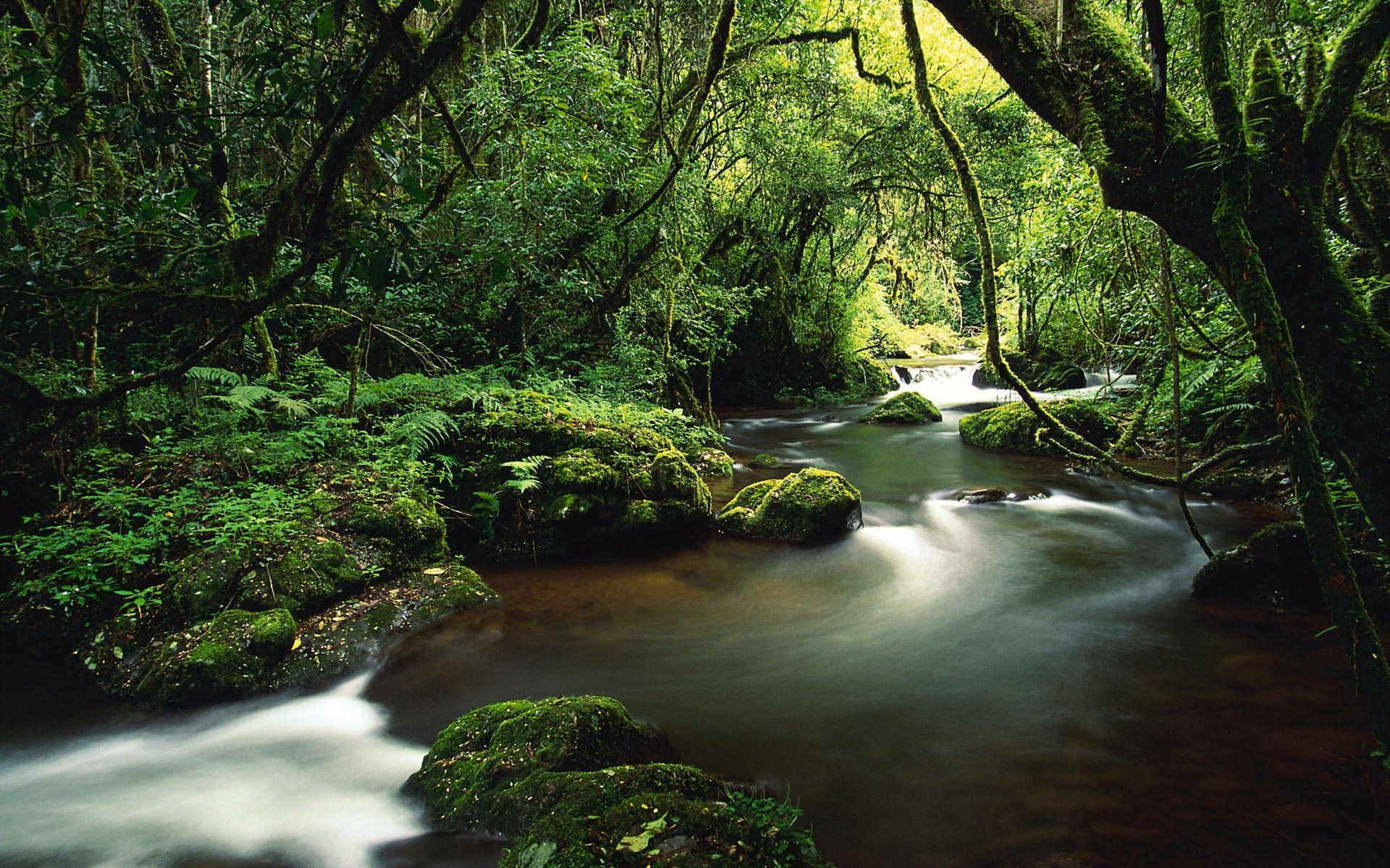 Waterfall in Costa Rica Rainforest Wallpapers Rivers Nature