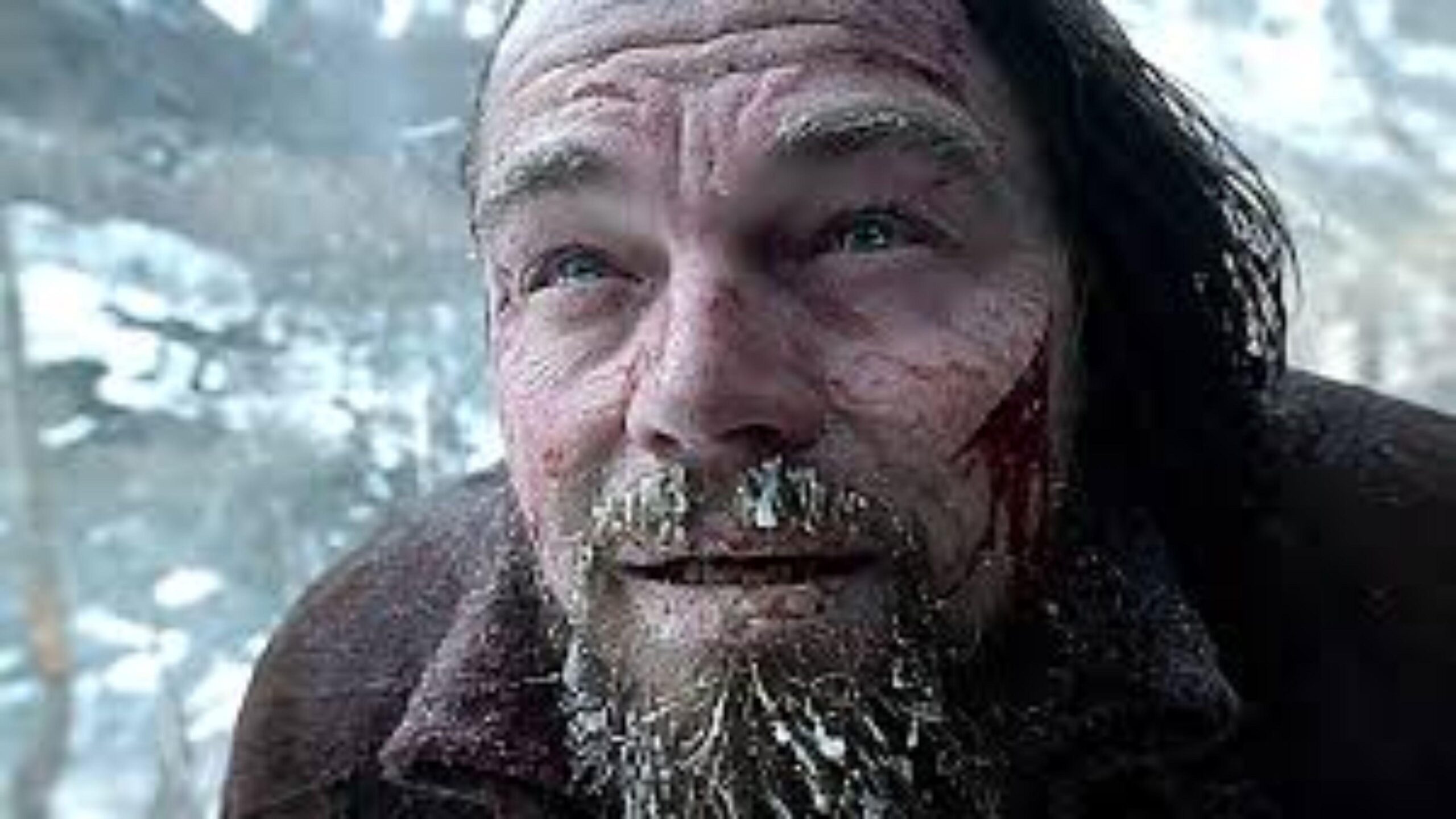 Free 4K The Revenant Wallpapers