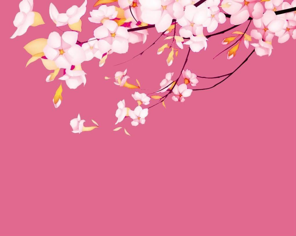 sakura.flower