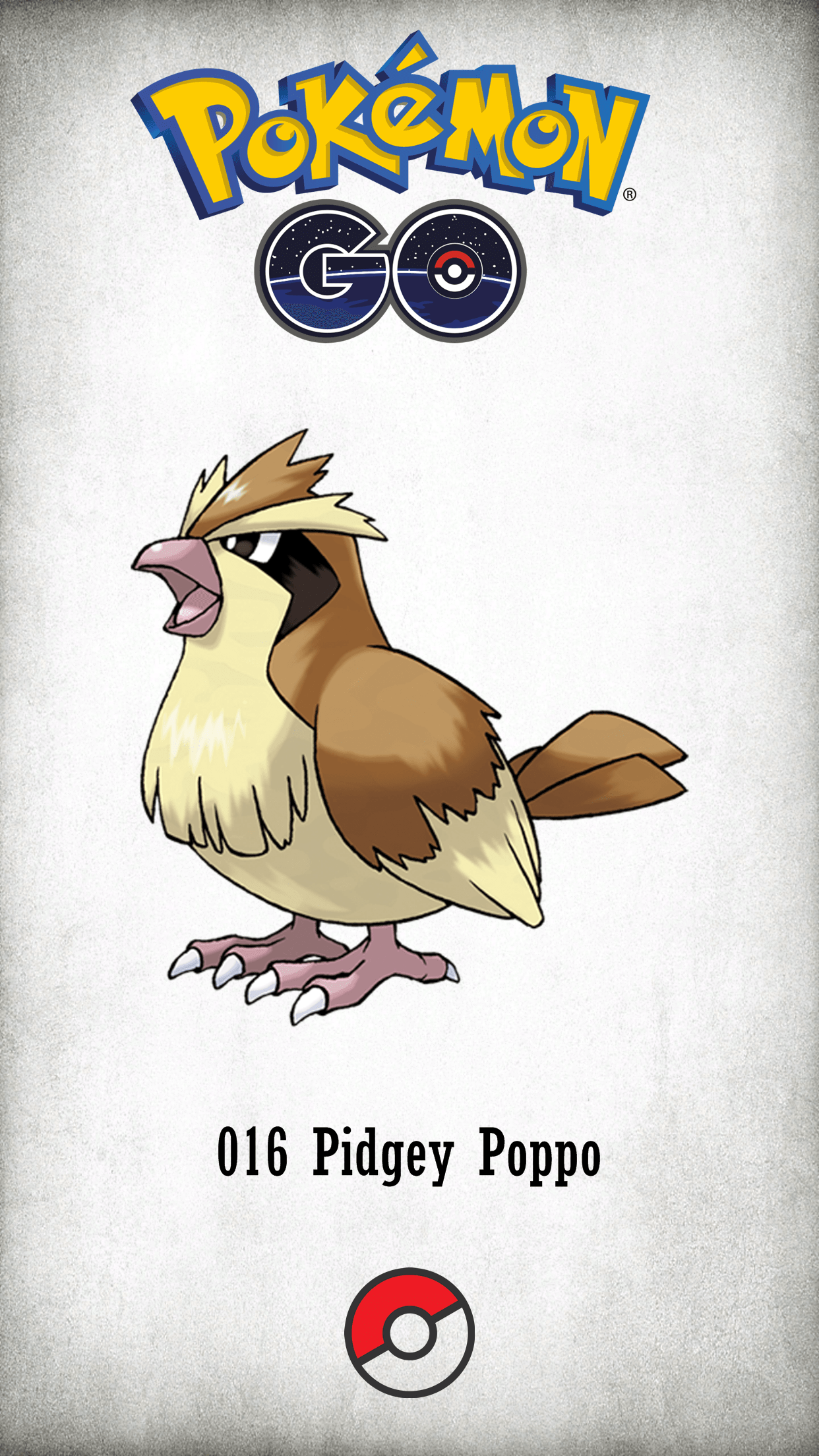 016 Character Pidgey Poppo