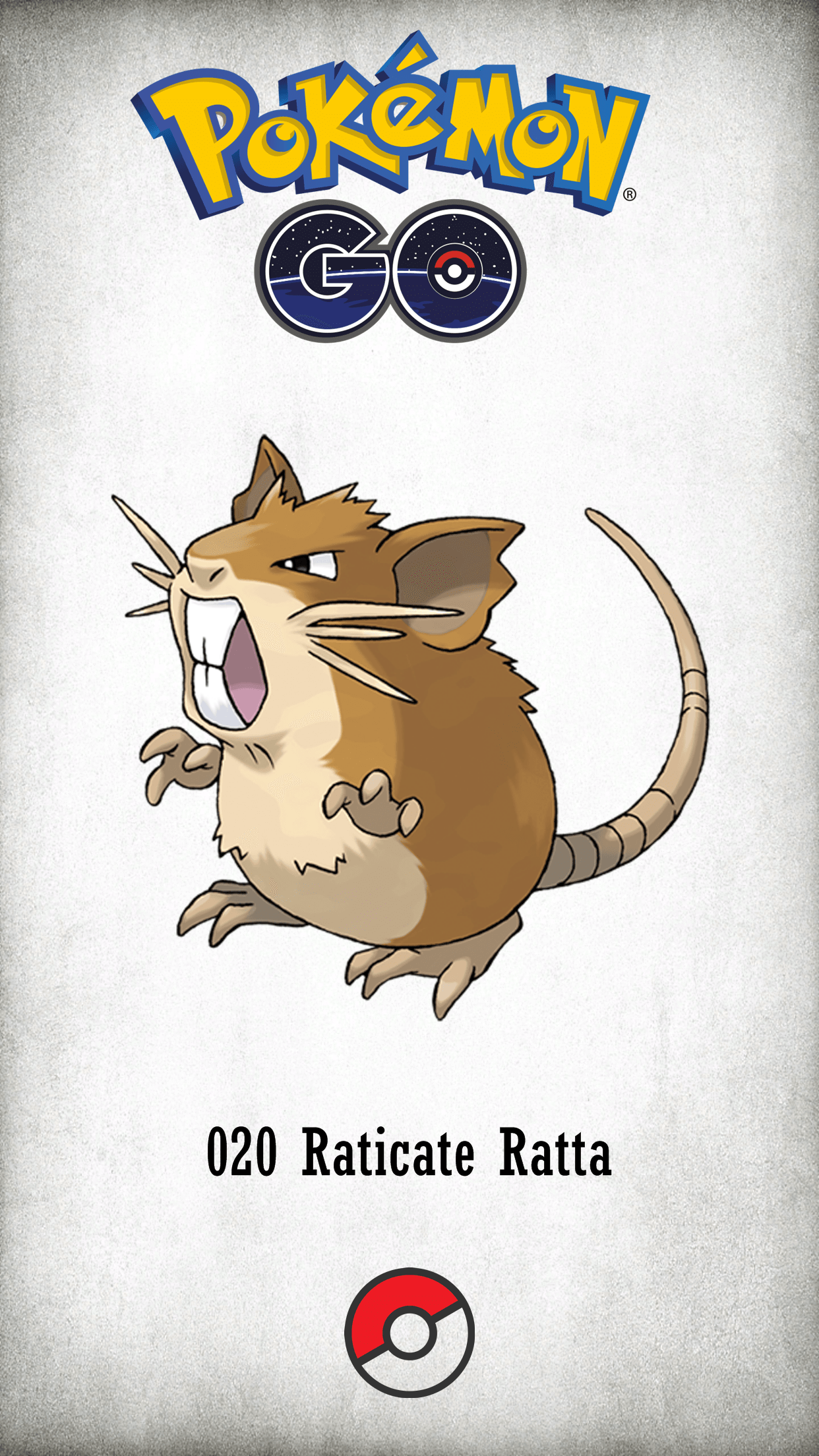 020 Character Raticate Ratta