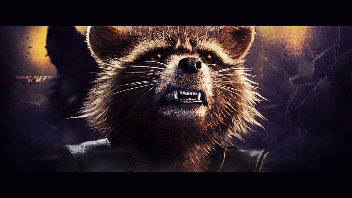 Rocket Raccoon wallpapers