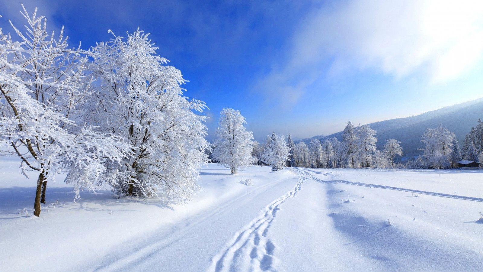 Winter Wallpapers Hd Download