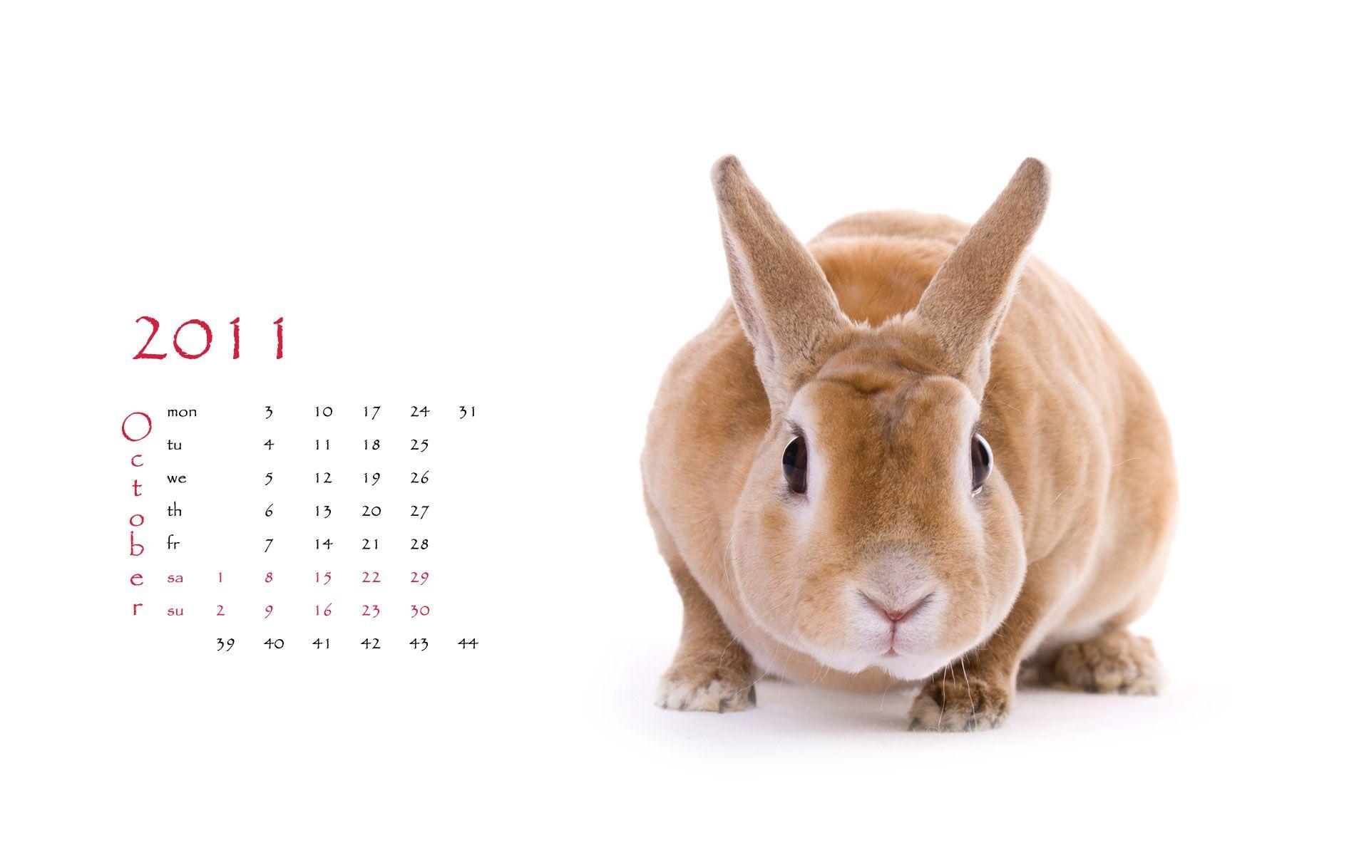 Calendar Year of the Rabbit 15115