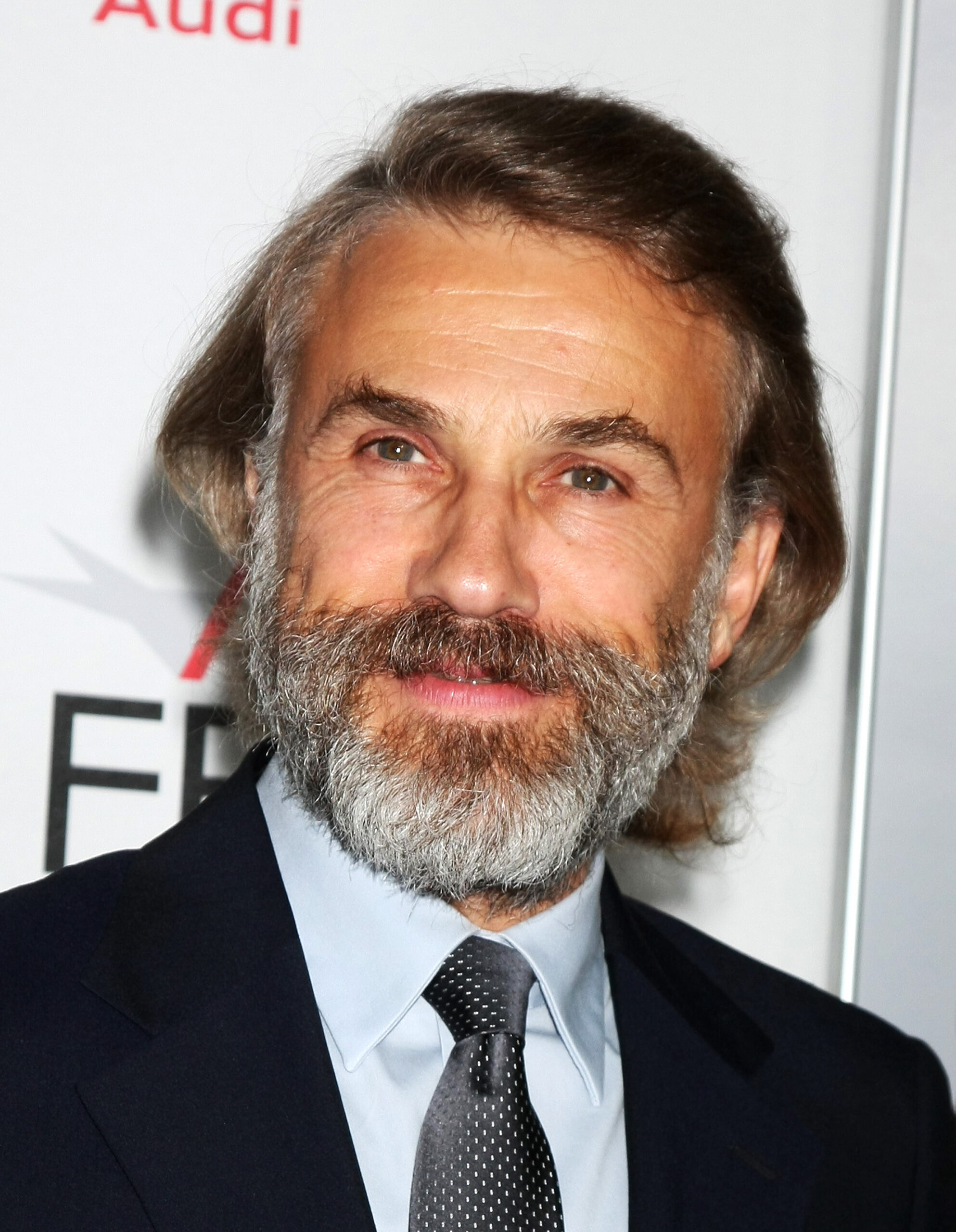 More Beautiful Christoph Waltz Wallpapers