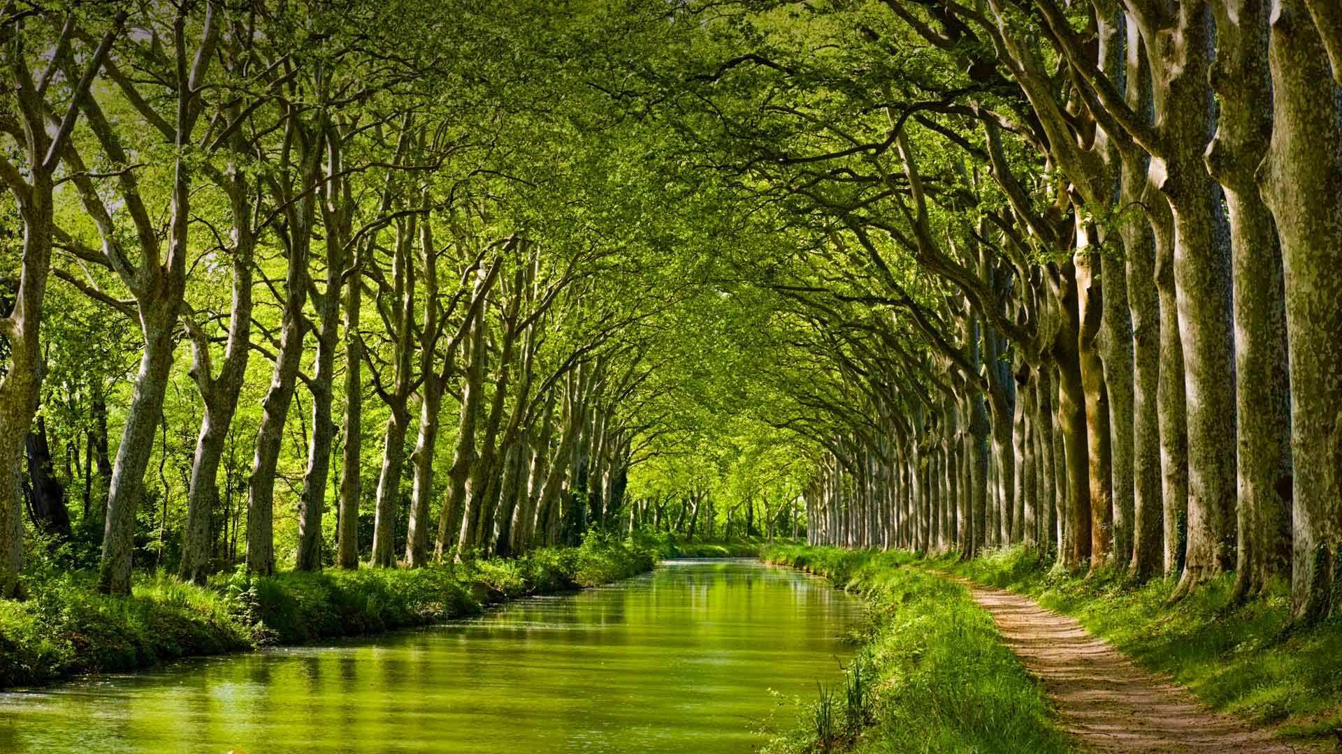 Canal Du Midi Toulouse – Wallpaperfool