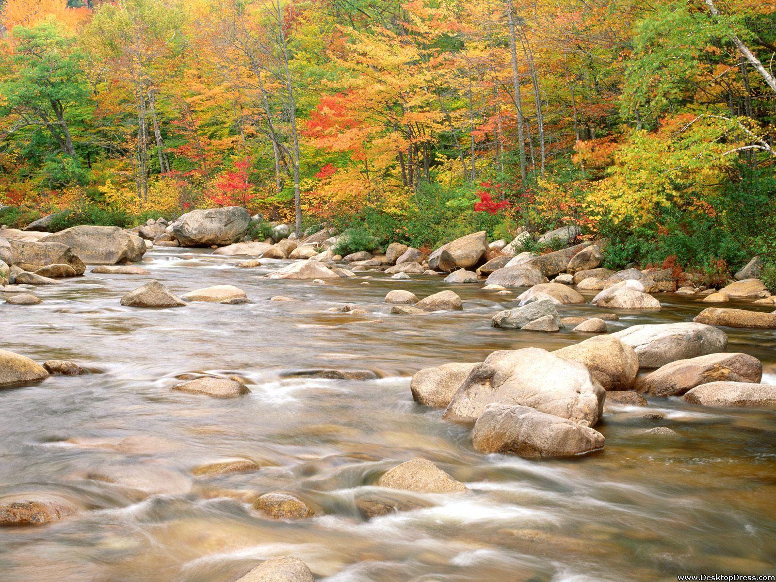 Desktop Wallpapers » Natural Backgrounds » White Mountains National