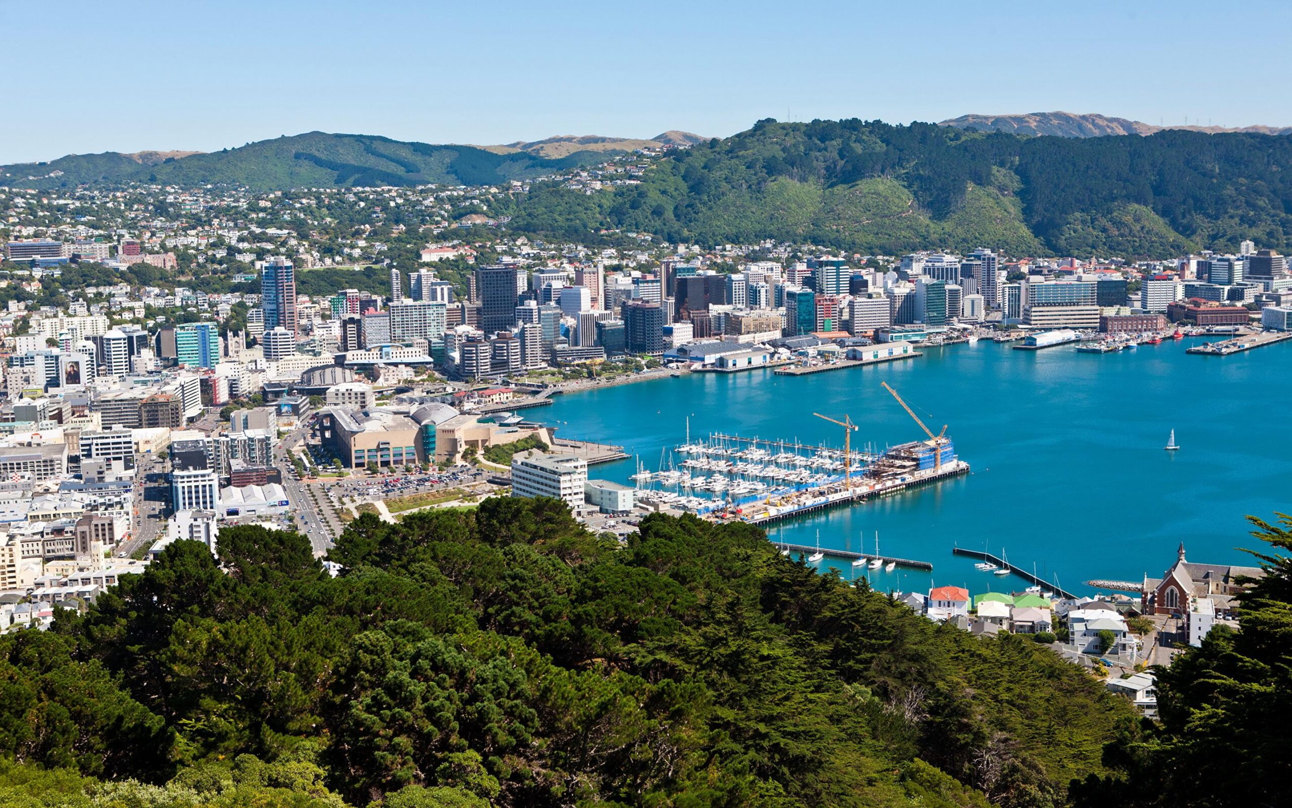 Image New Zealand Wellington Coast Marinas From above