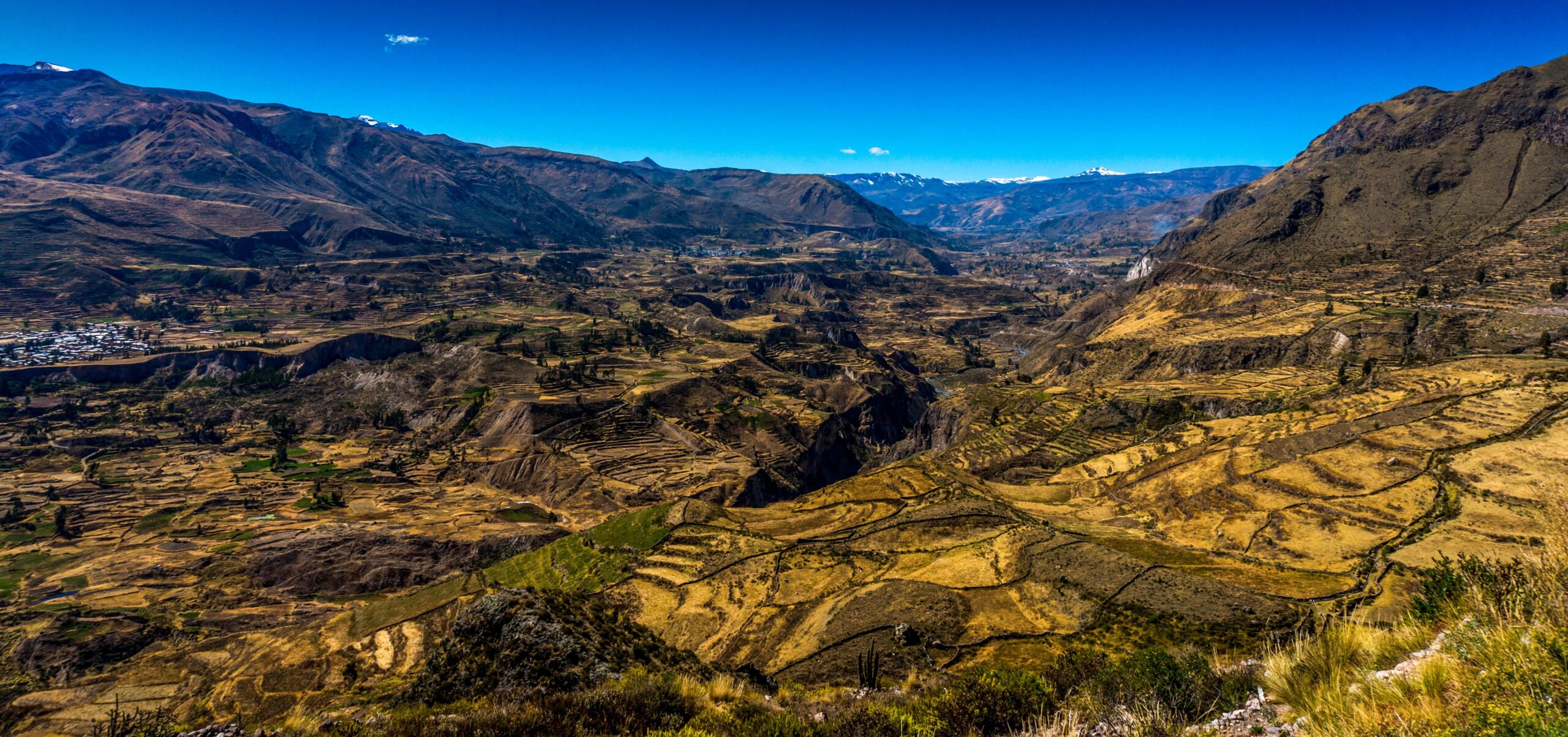 Colca Canyon