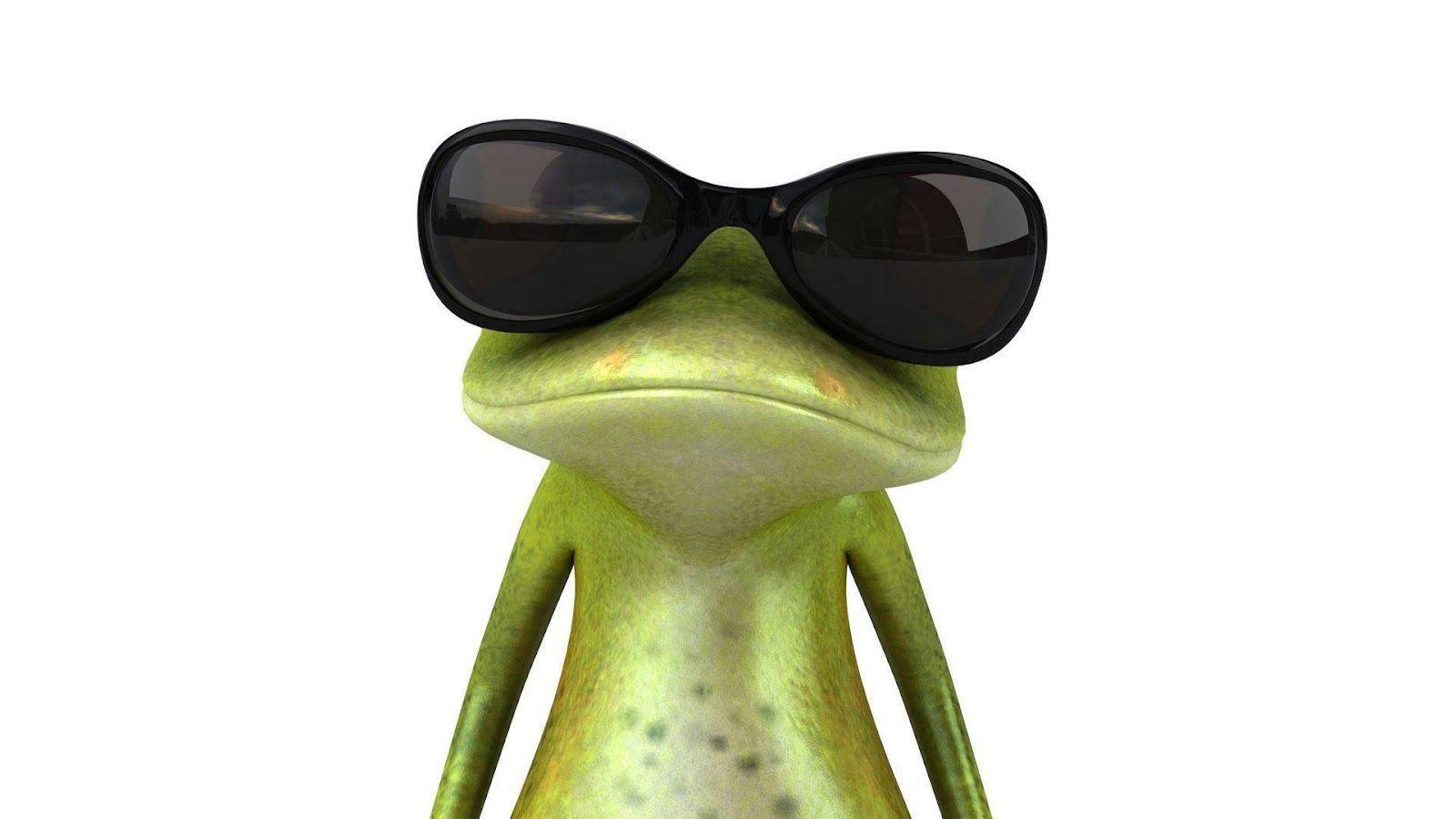 Funny Frog Wallpapers Wallpapers computer