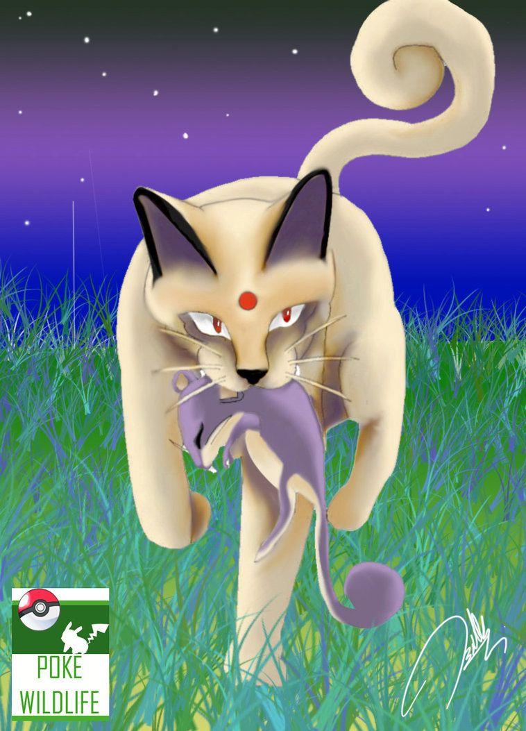 Persian caught Rattata by Honsmaster