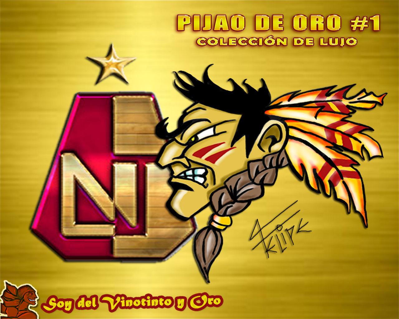 Deportes Tolima