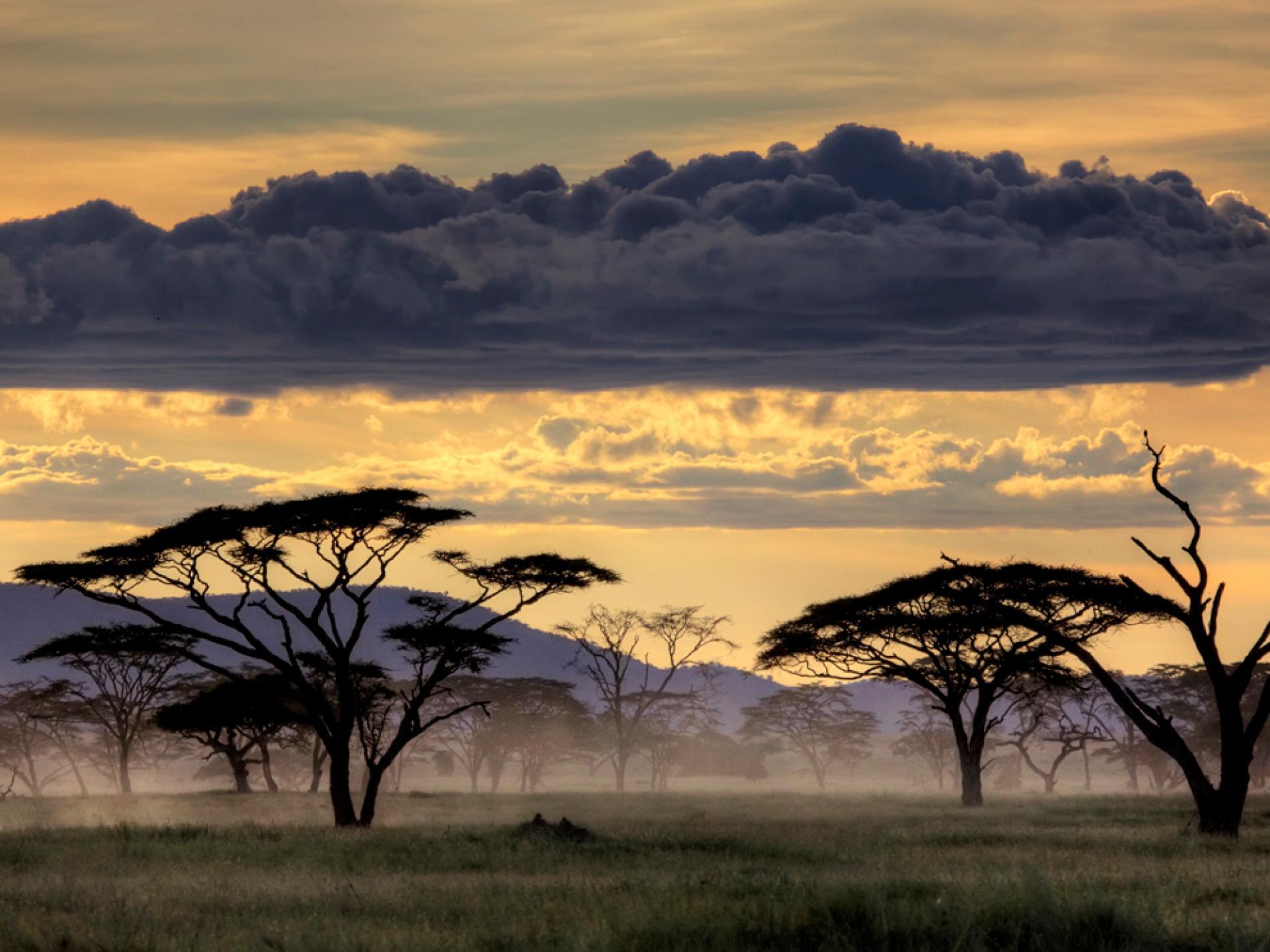 Serengeti, Tanzania