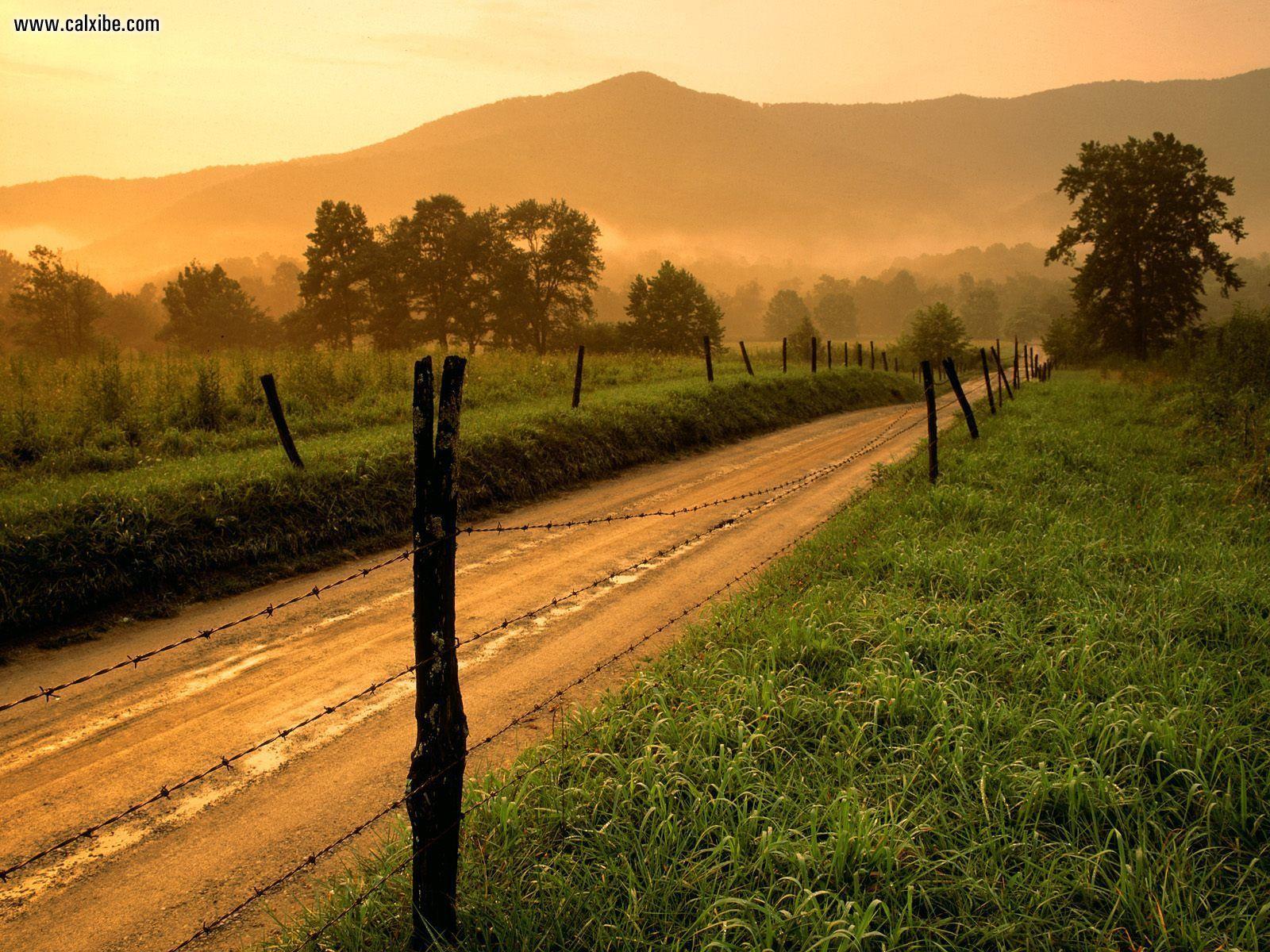 Nature: Sparks Lane At Sunset Cades Cove Great Smoky Mountains