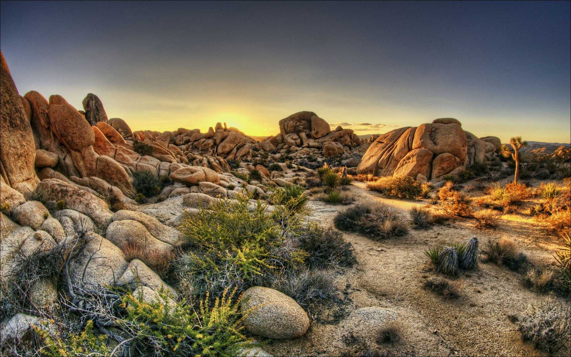 Joshua Tree National Park Wallpapers Landscape Photograph Driving