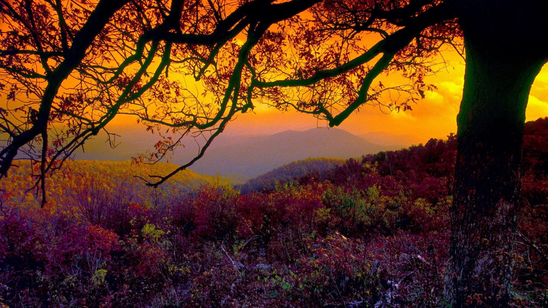 Best Travelling Wallpaper: Shenandoah National Park, 731216