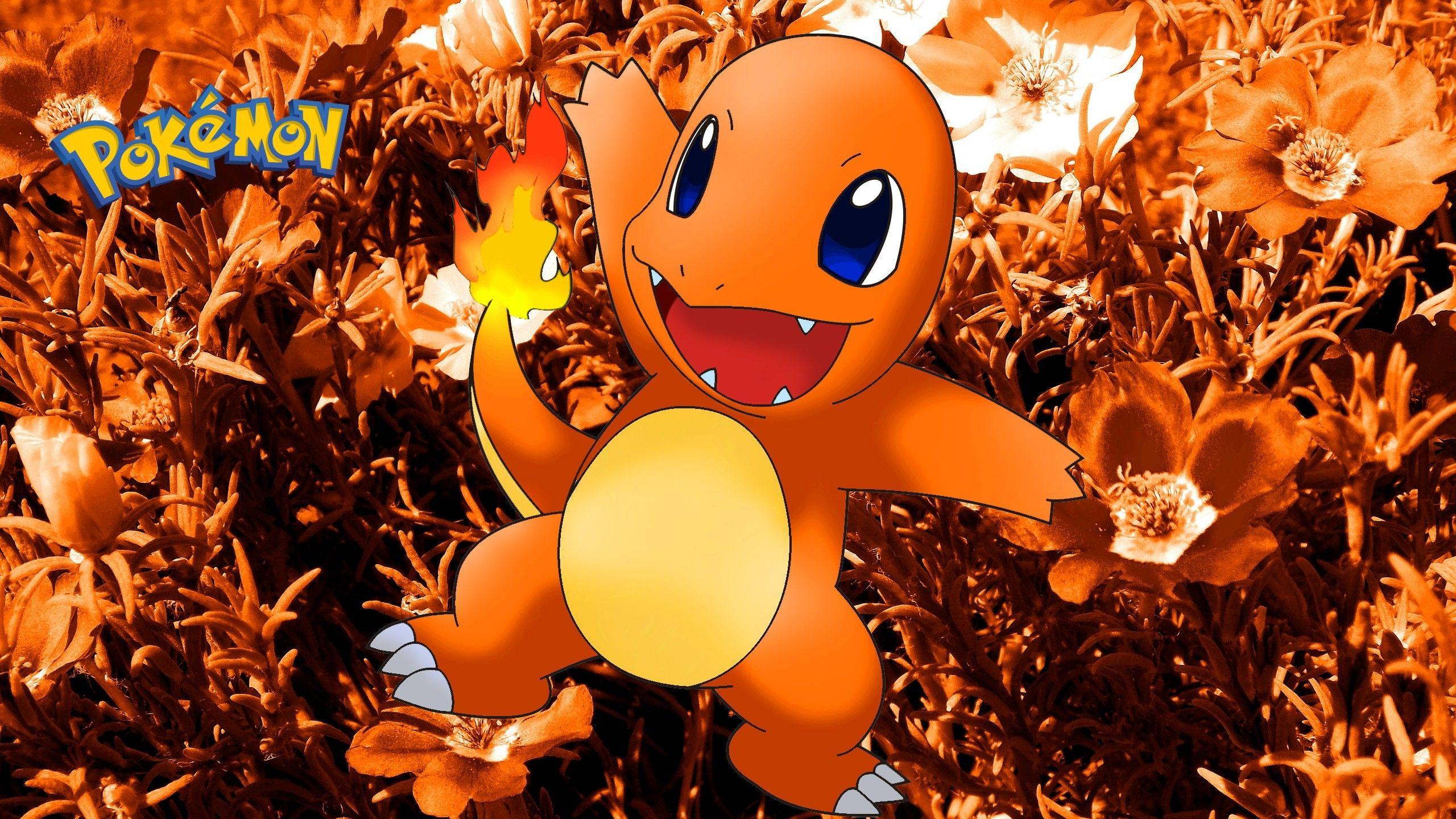 Charmander Backgrounds 77+