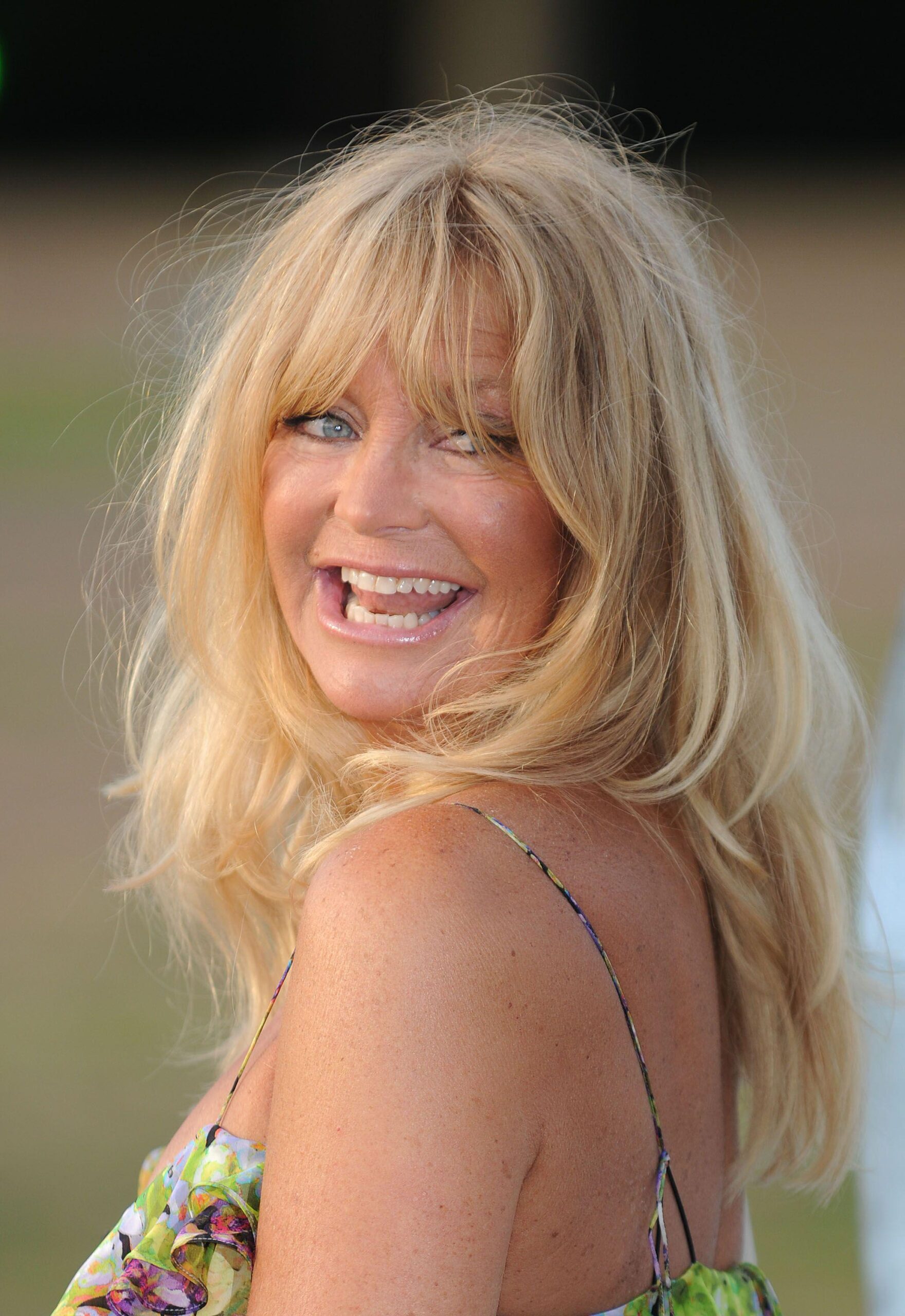 Goldie Hawn image The Elephant Parade auction 2010 HD wallpapers and