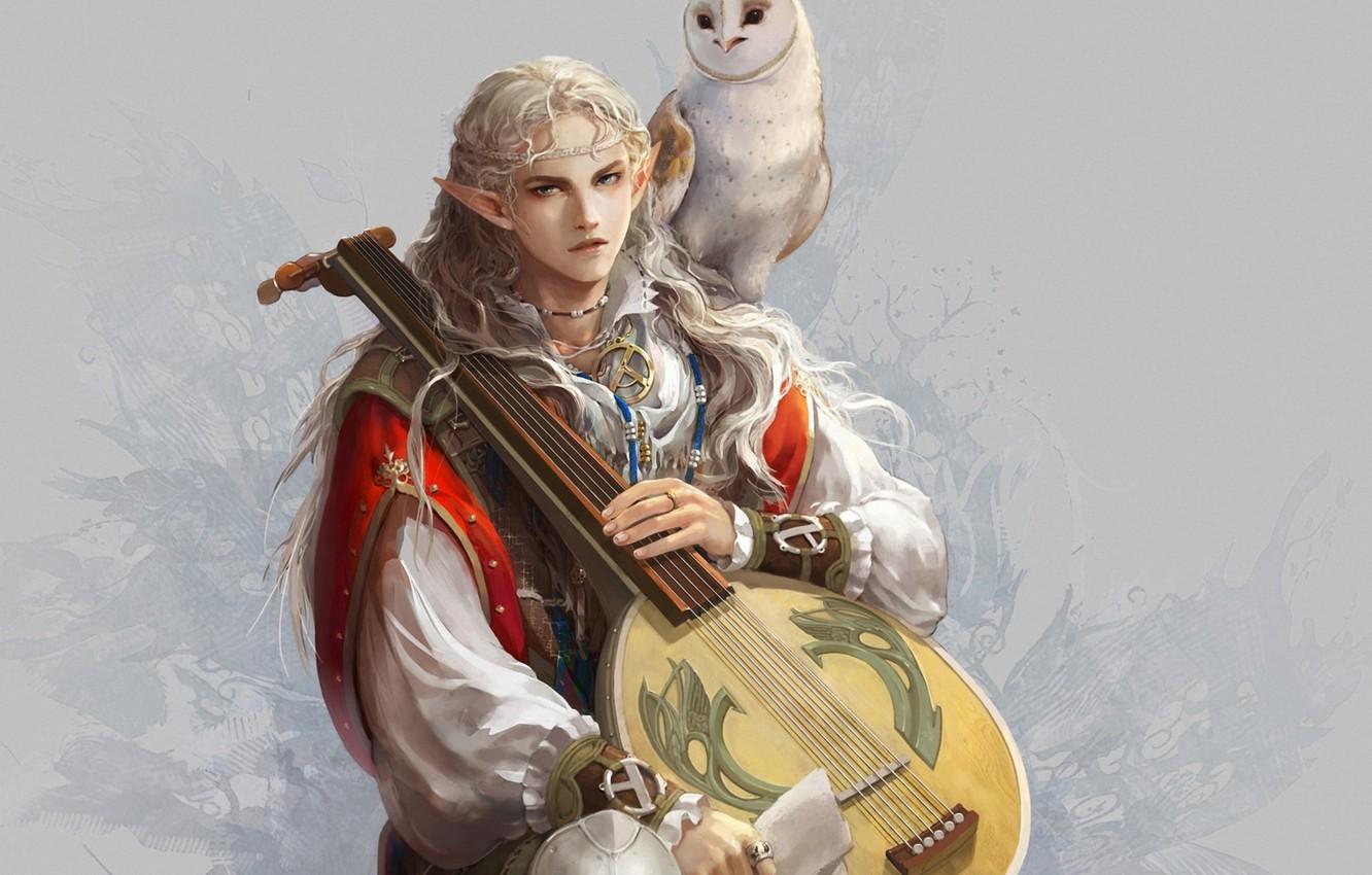 Wallpapers owl, bird, elf, art, guy, ears, bard, lute image for