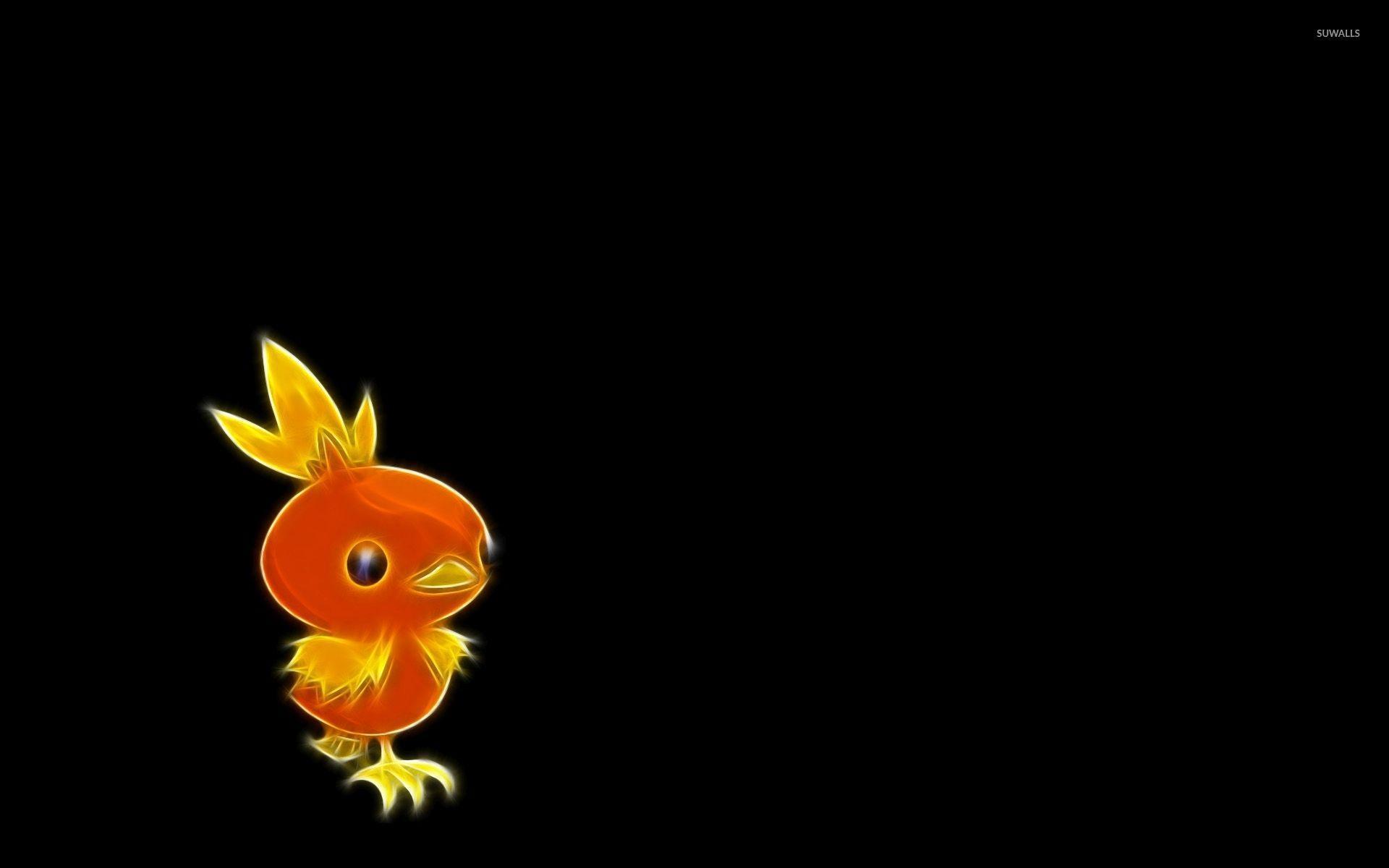 Torchic