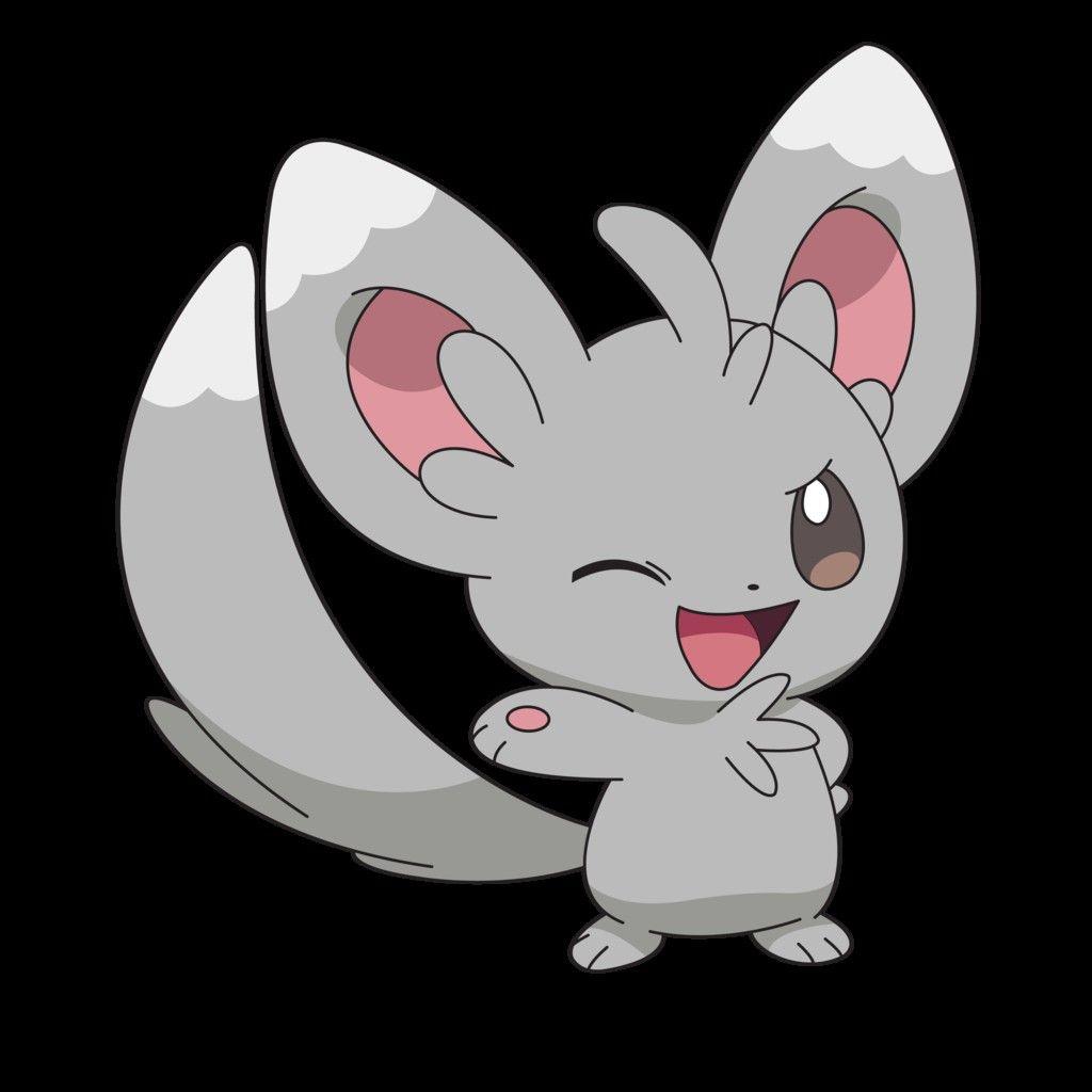 Beautiful Pokemon Minccino