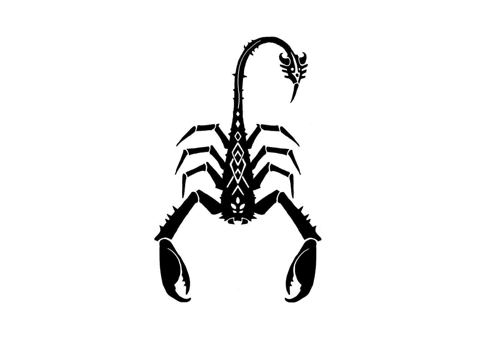 Free Download Scorpion Wallpapers