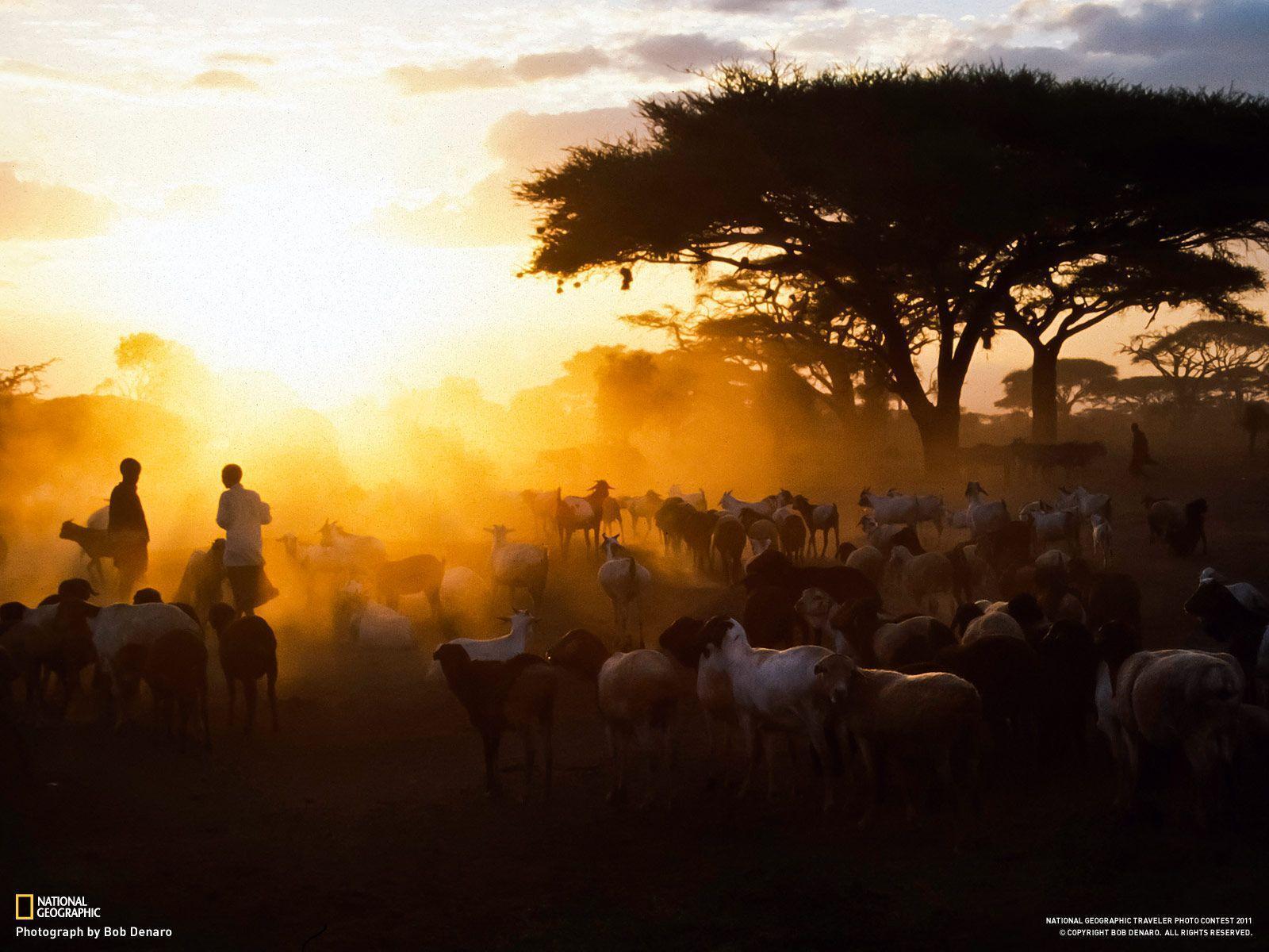 Maasai Village, Kenya