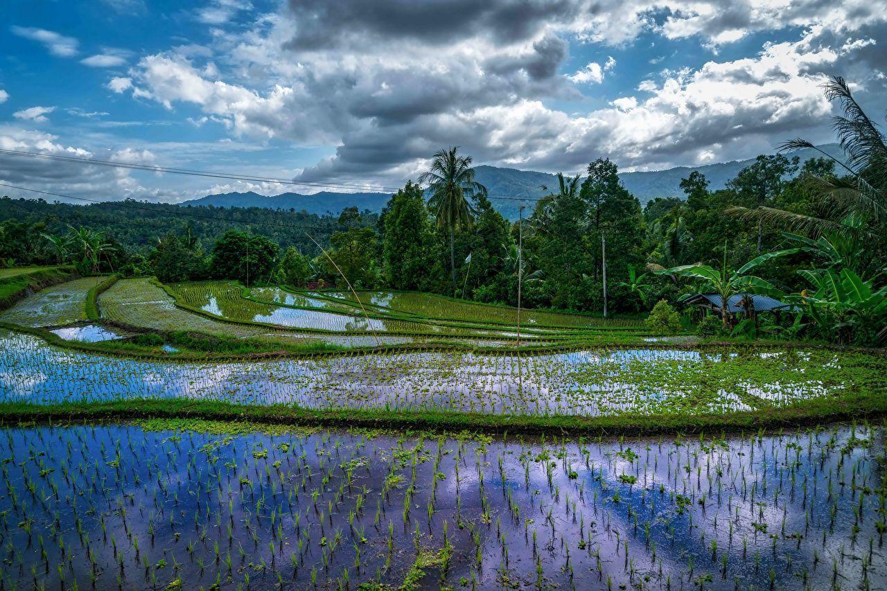 Indonesia wallpapers