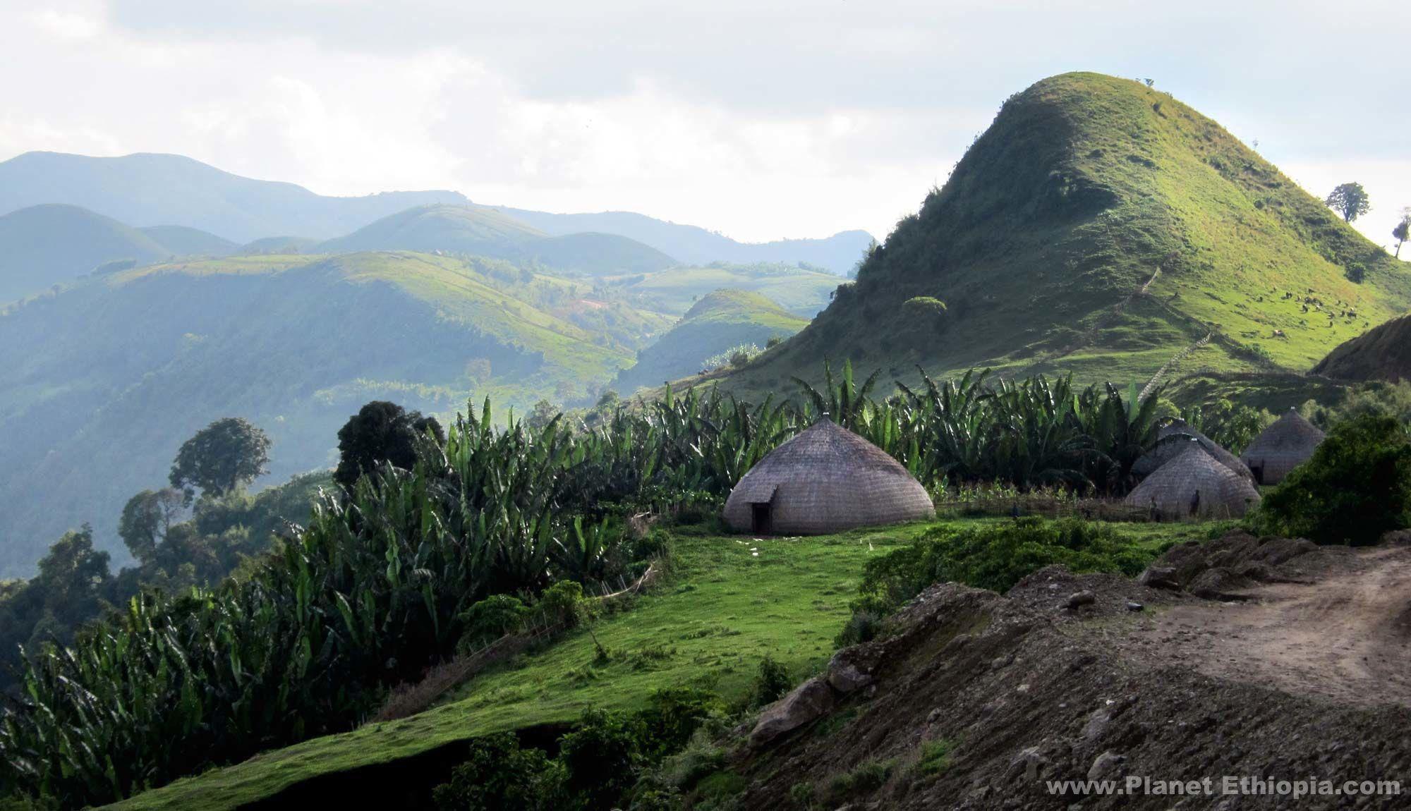 Ethiopian Landscape