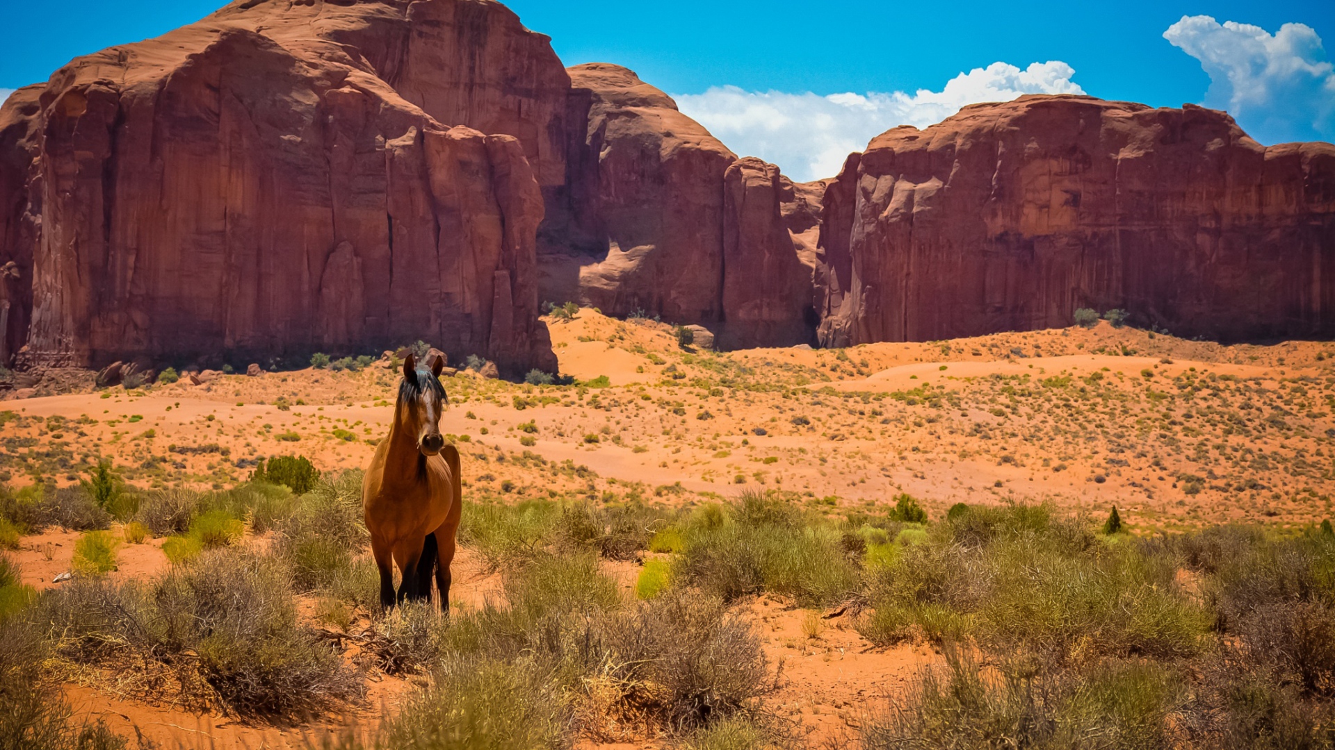 Arizona Desktop Wallpapers 19478