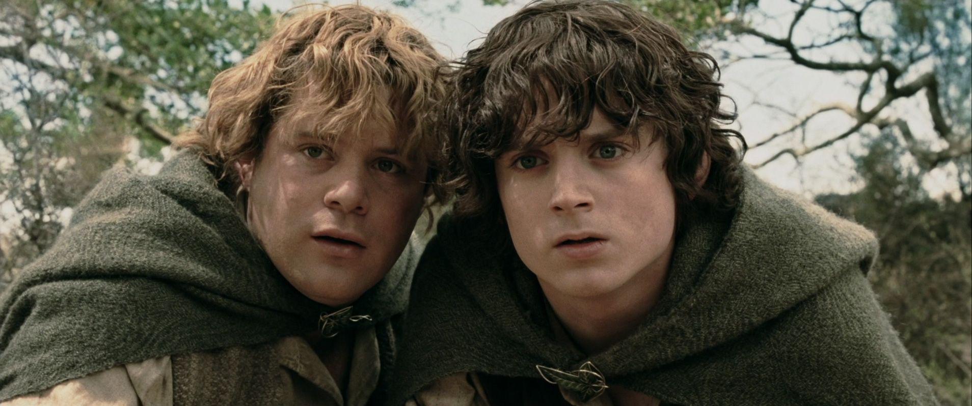 Frodo & Sam image LOTR: The Two Towers HD wallpapers and backgrounds